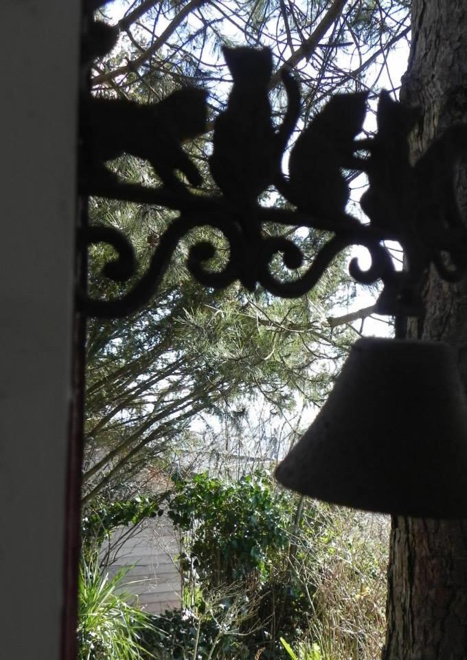 Les chambres du Chat Perché photo 3