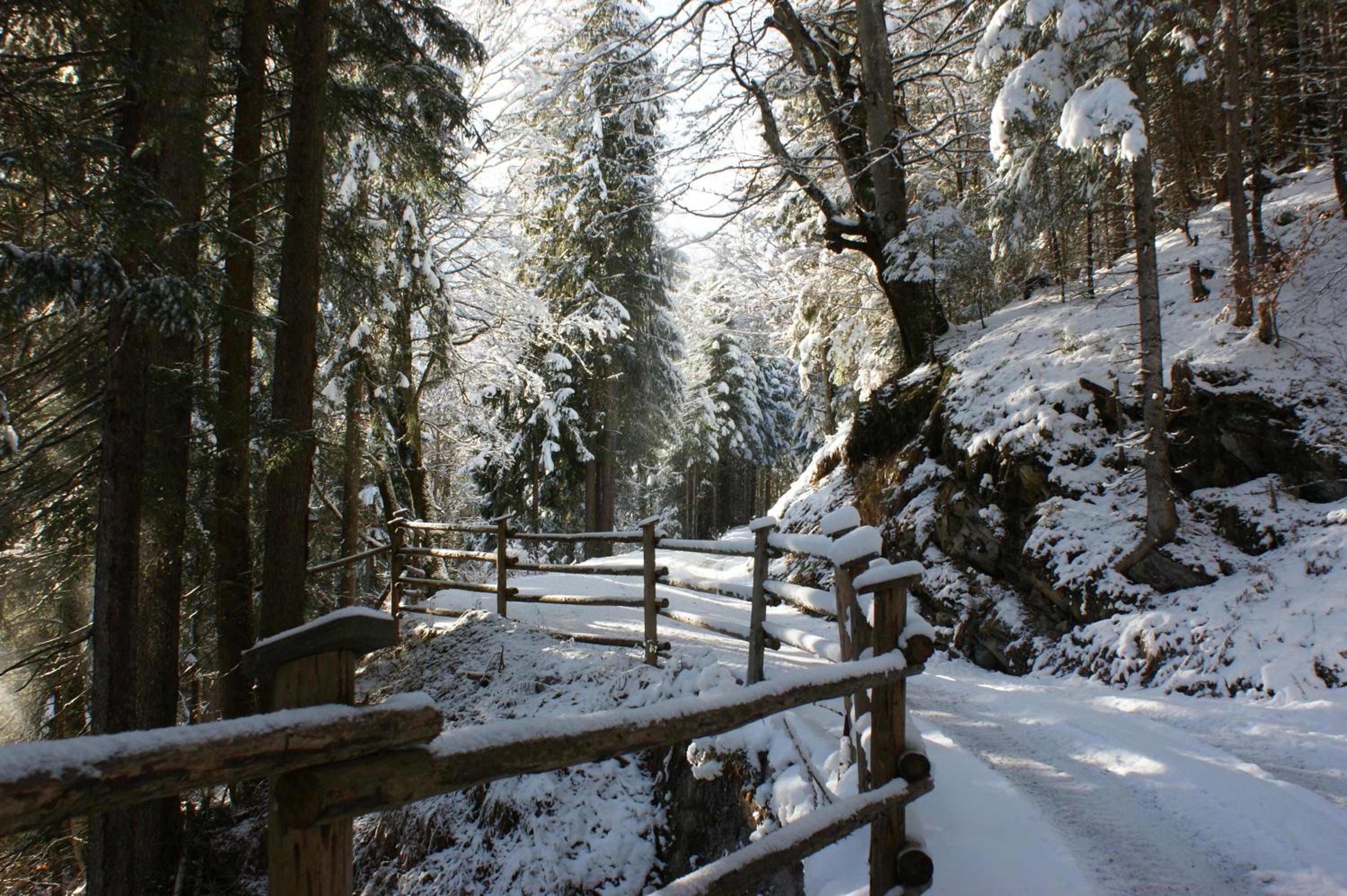 Haus am Stein