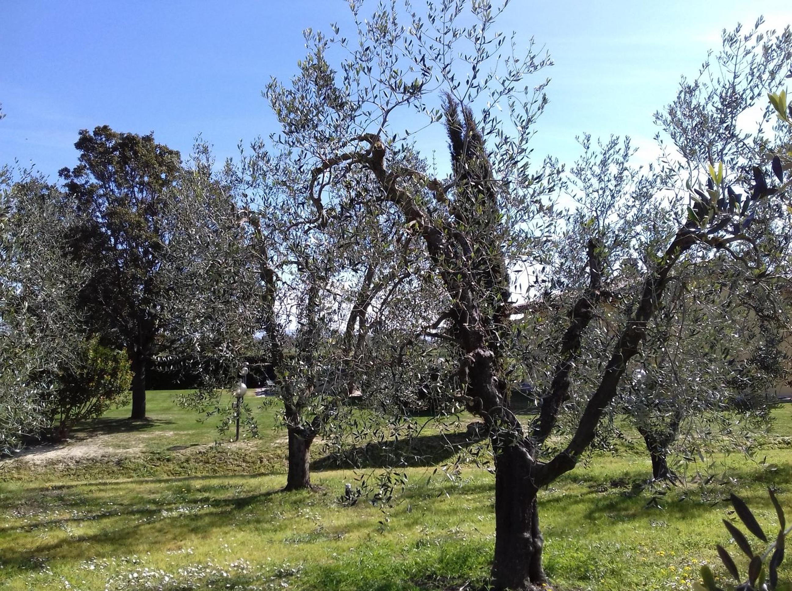 Photo 23