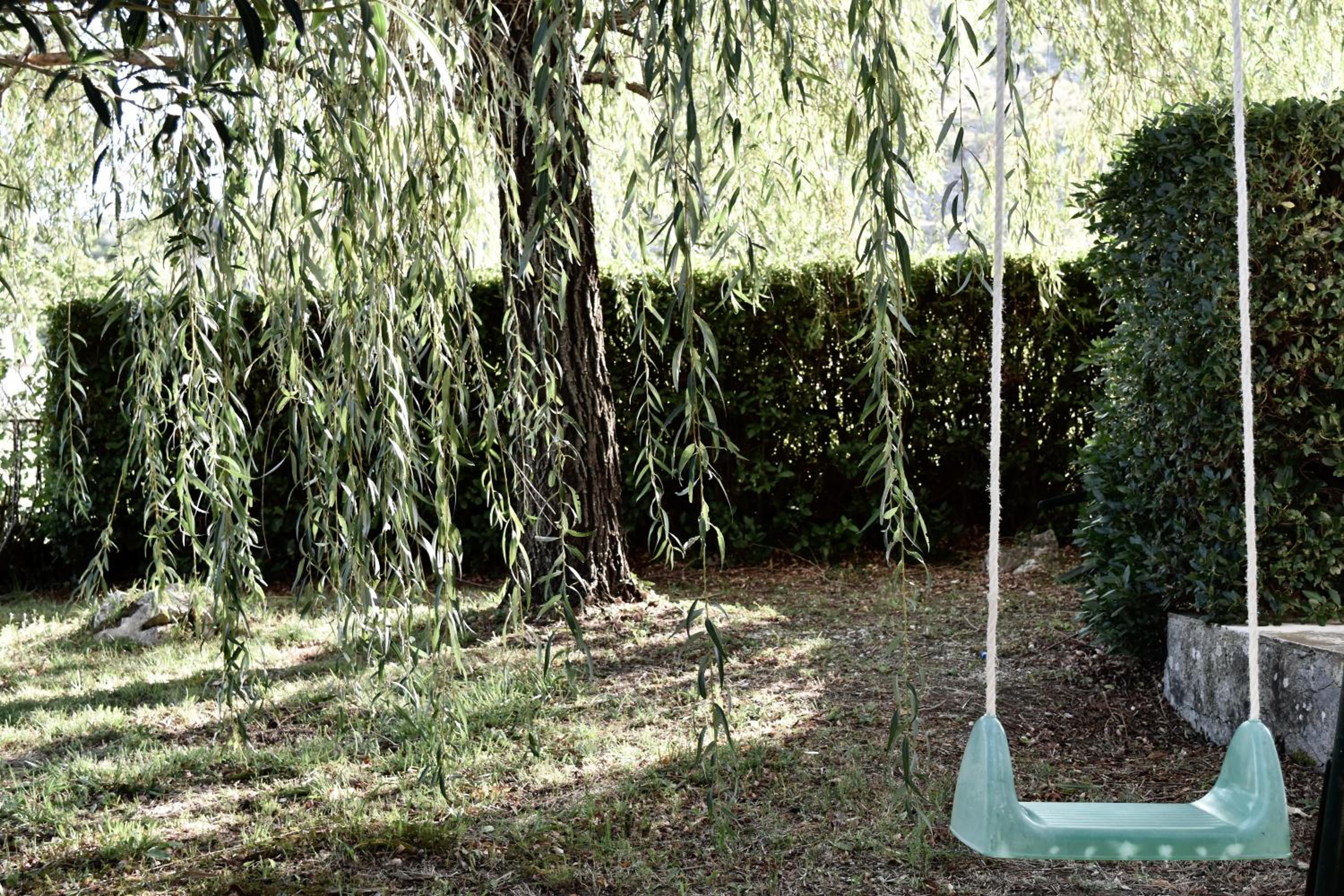 Photo 22