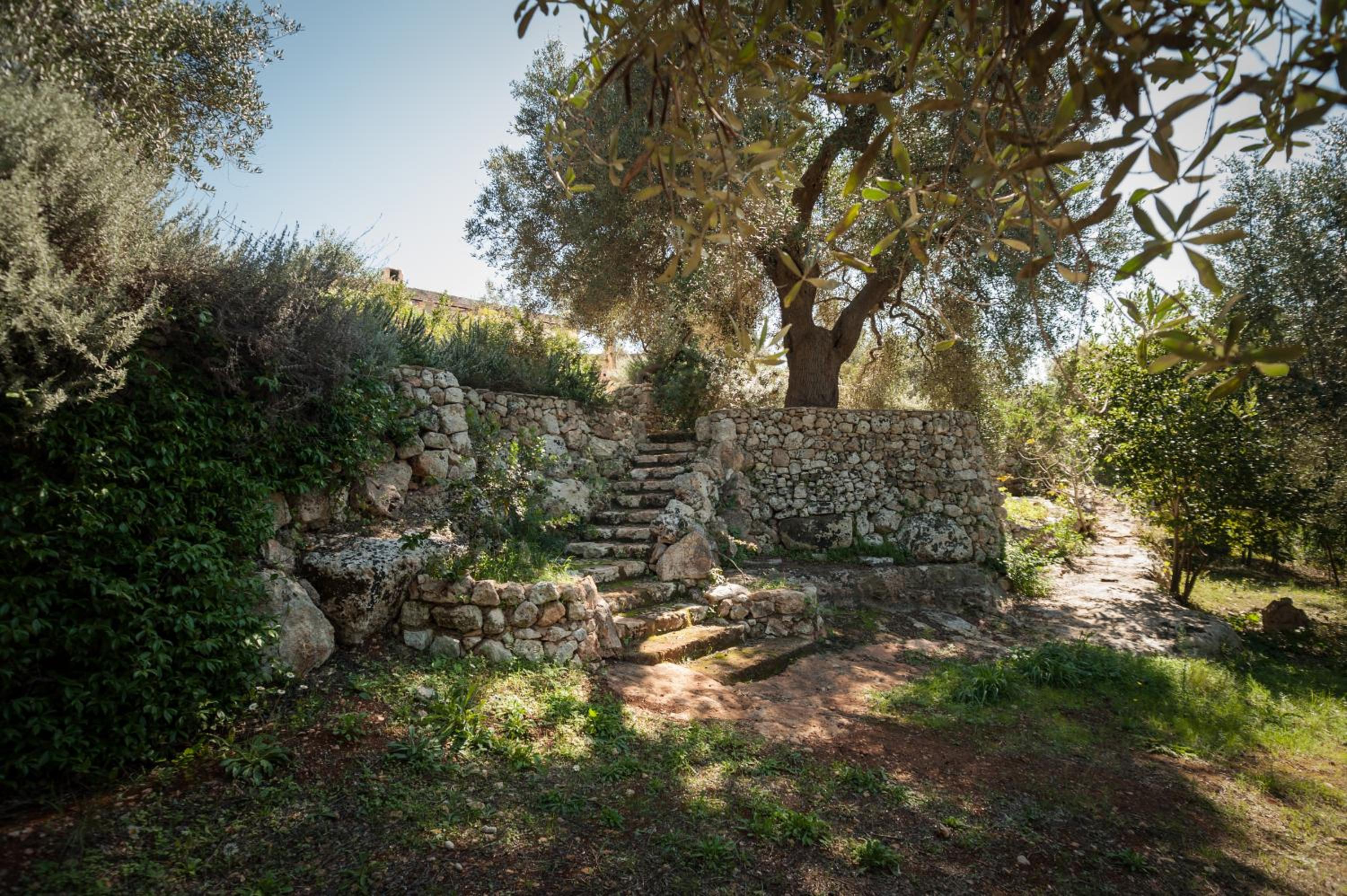 Photo 31