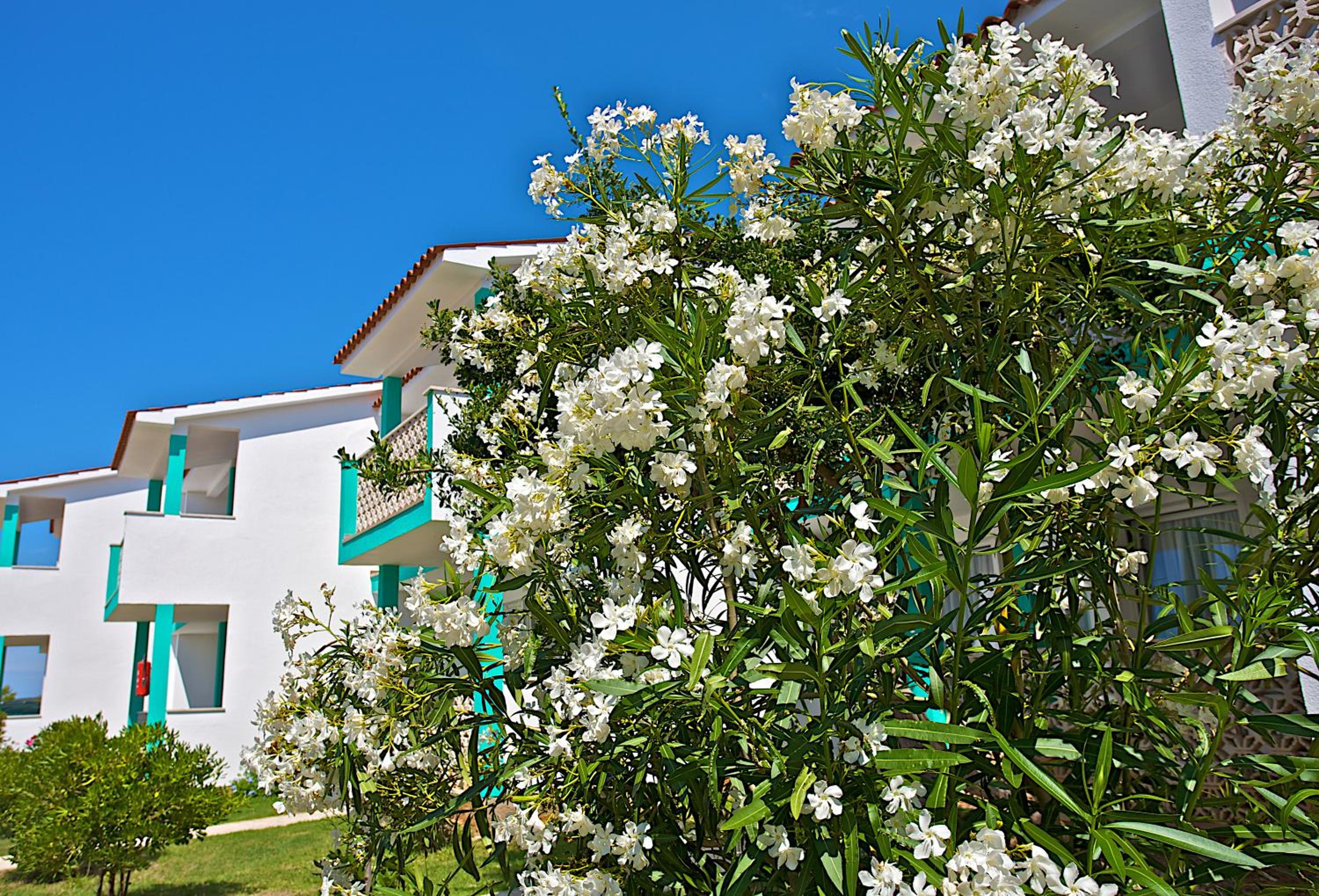 Kazela Apartments