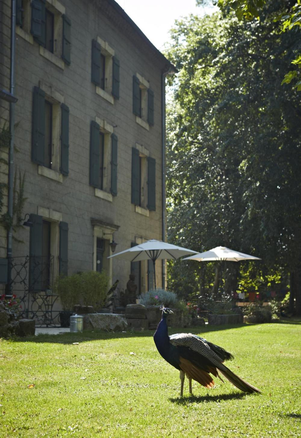 Chambres d'hôtes du Domaine de Bonnery, photo 3