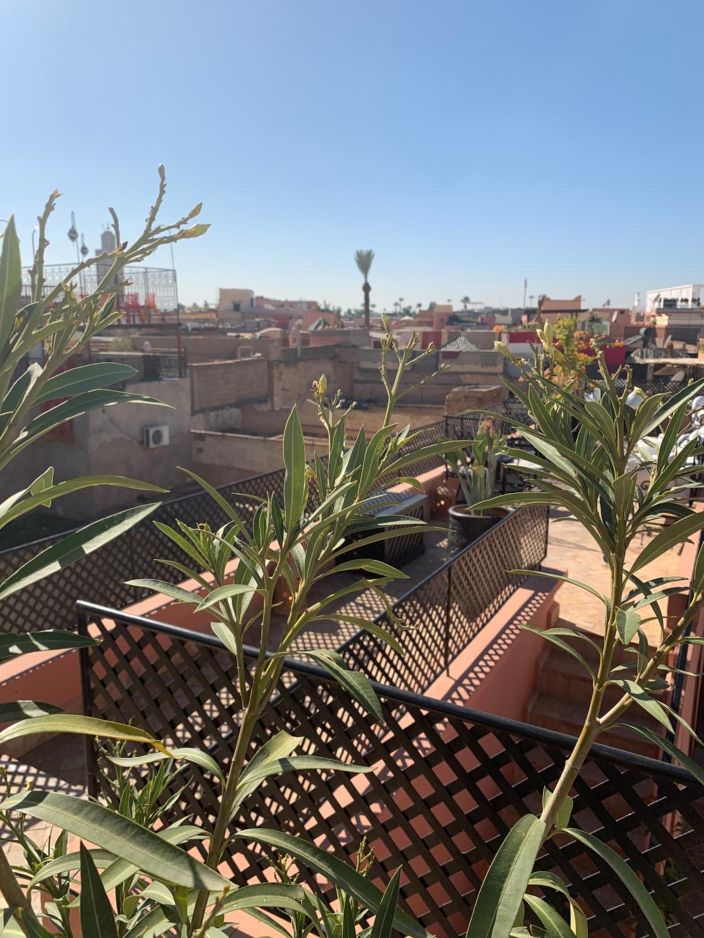 Photo 44 sur 108 de Riad Abaka hotel & boutique