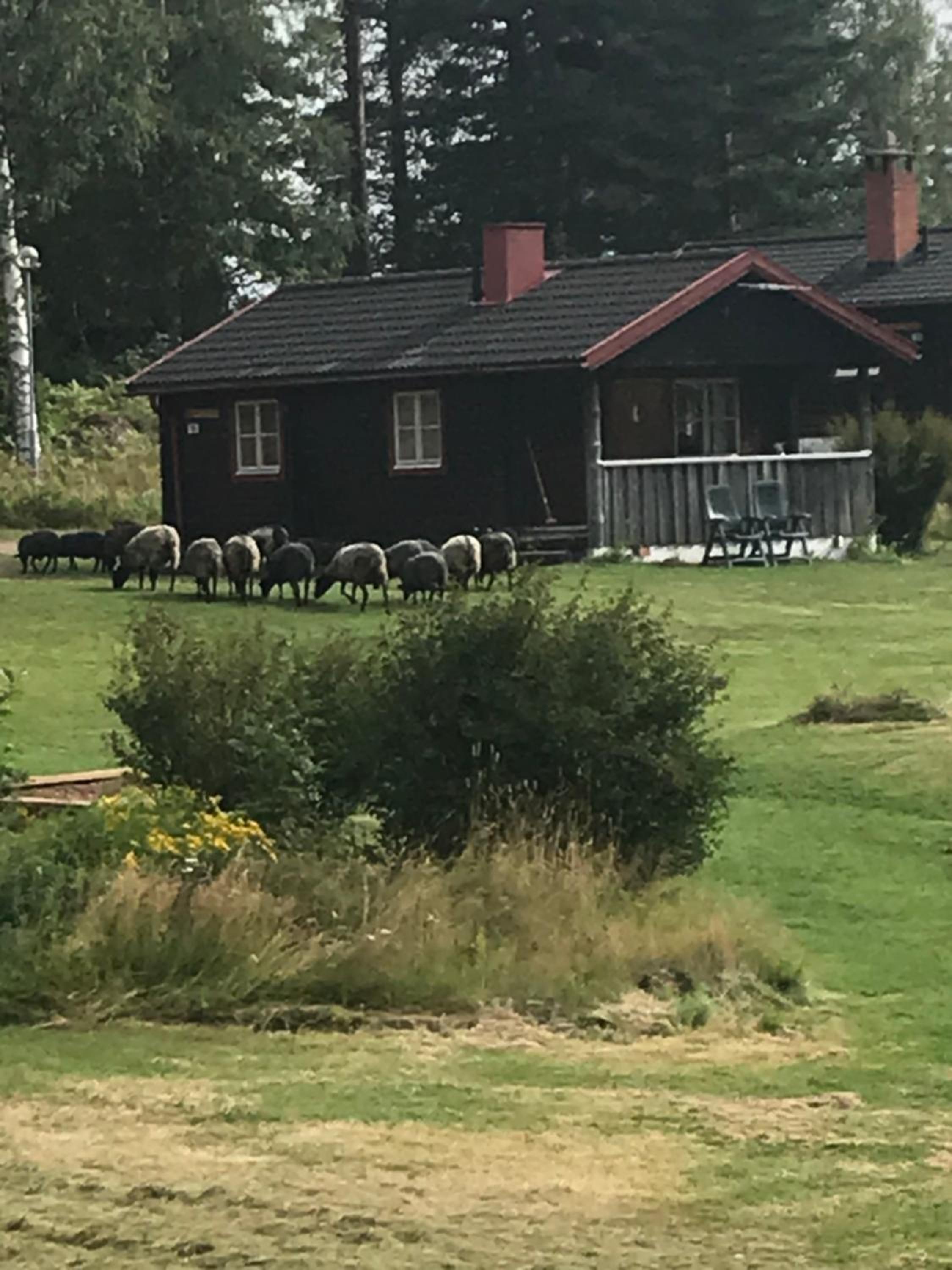 Siljansnäs Stugby view 2