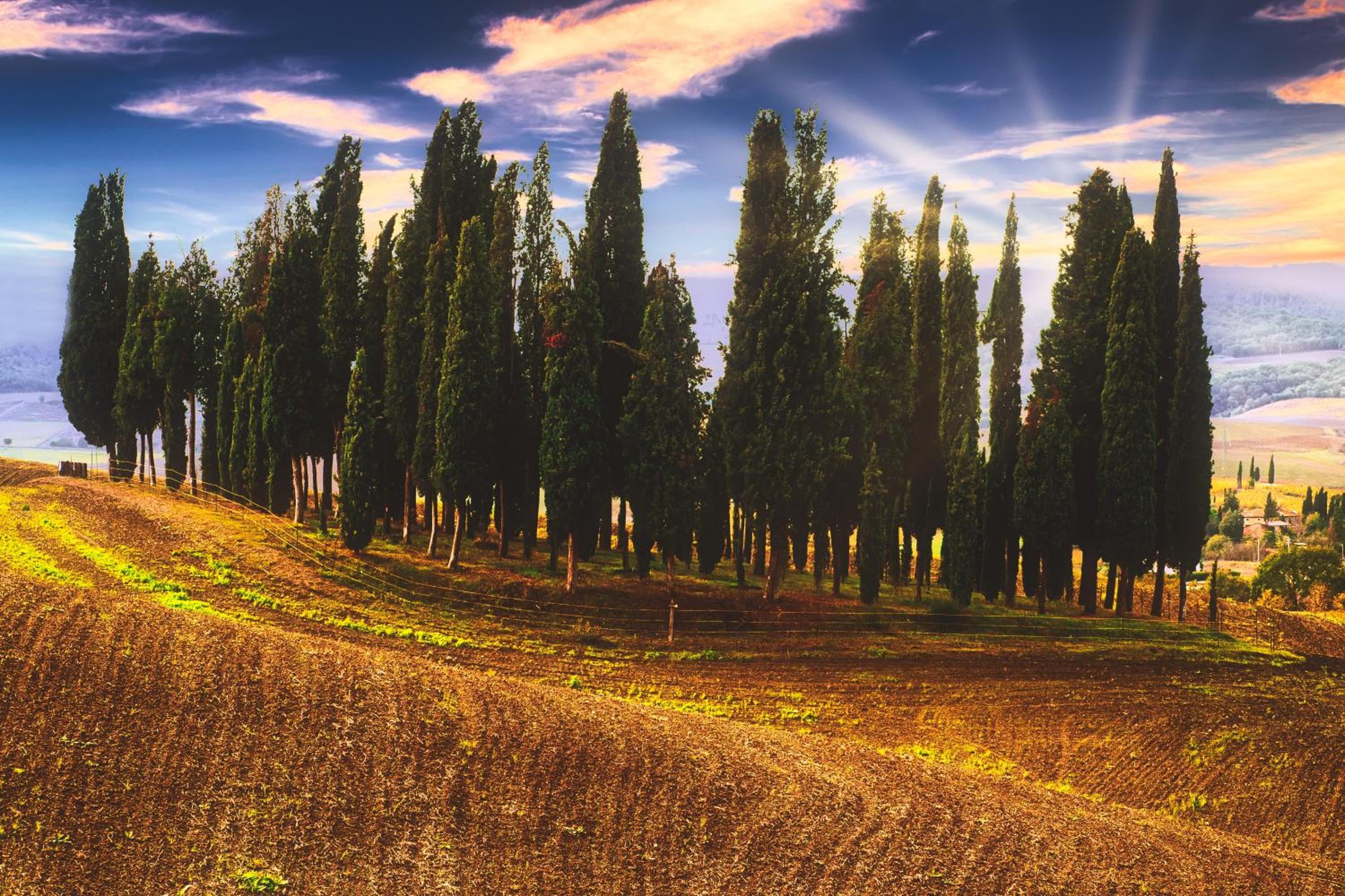 Podere Pietreta