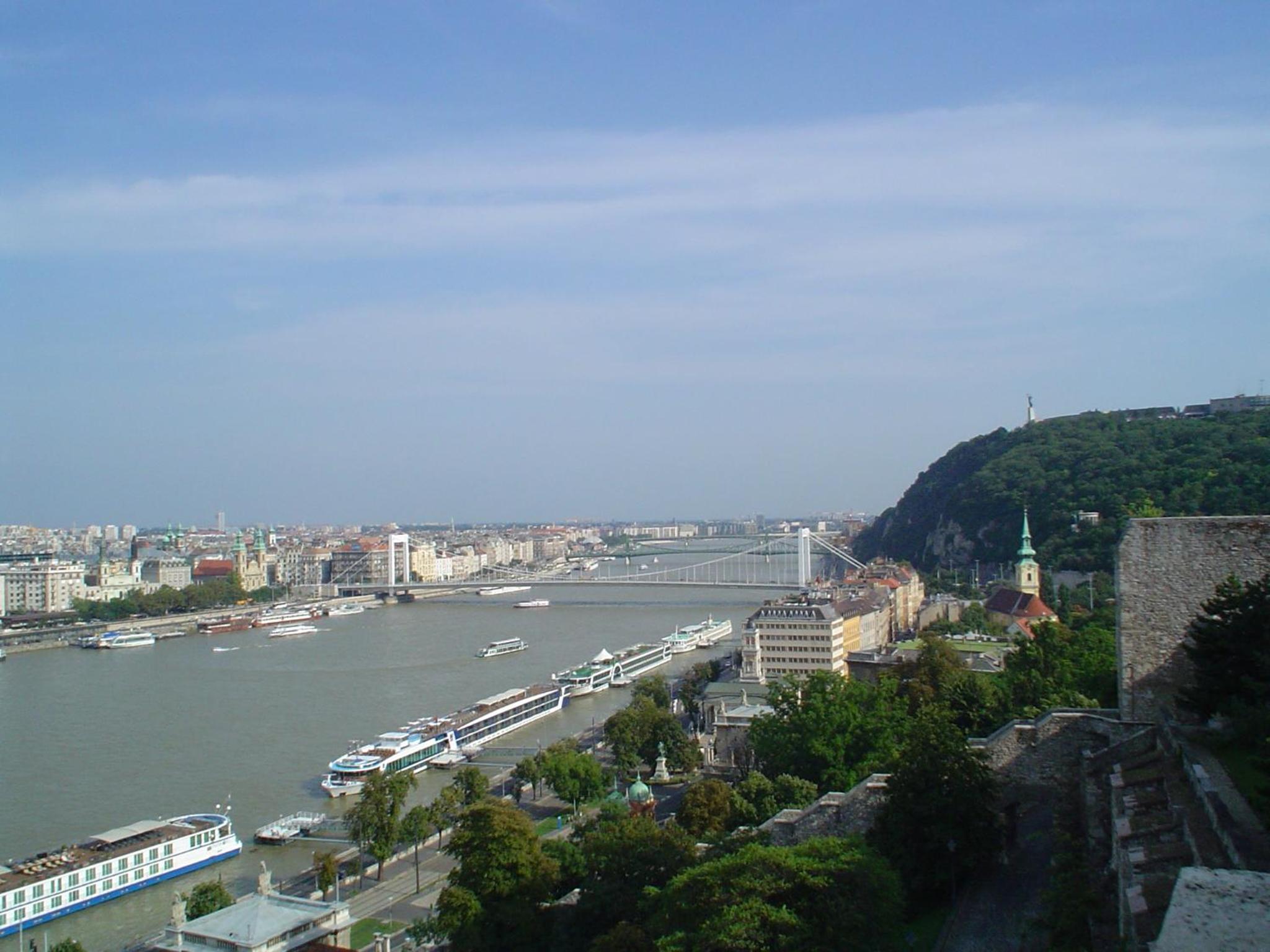Photo 50