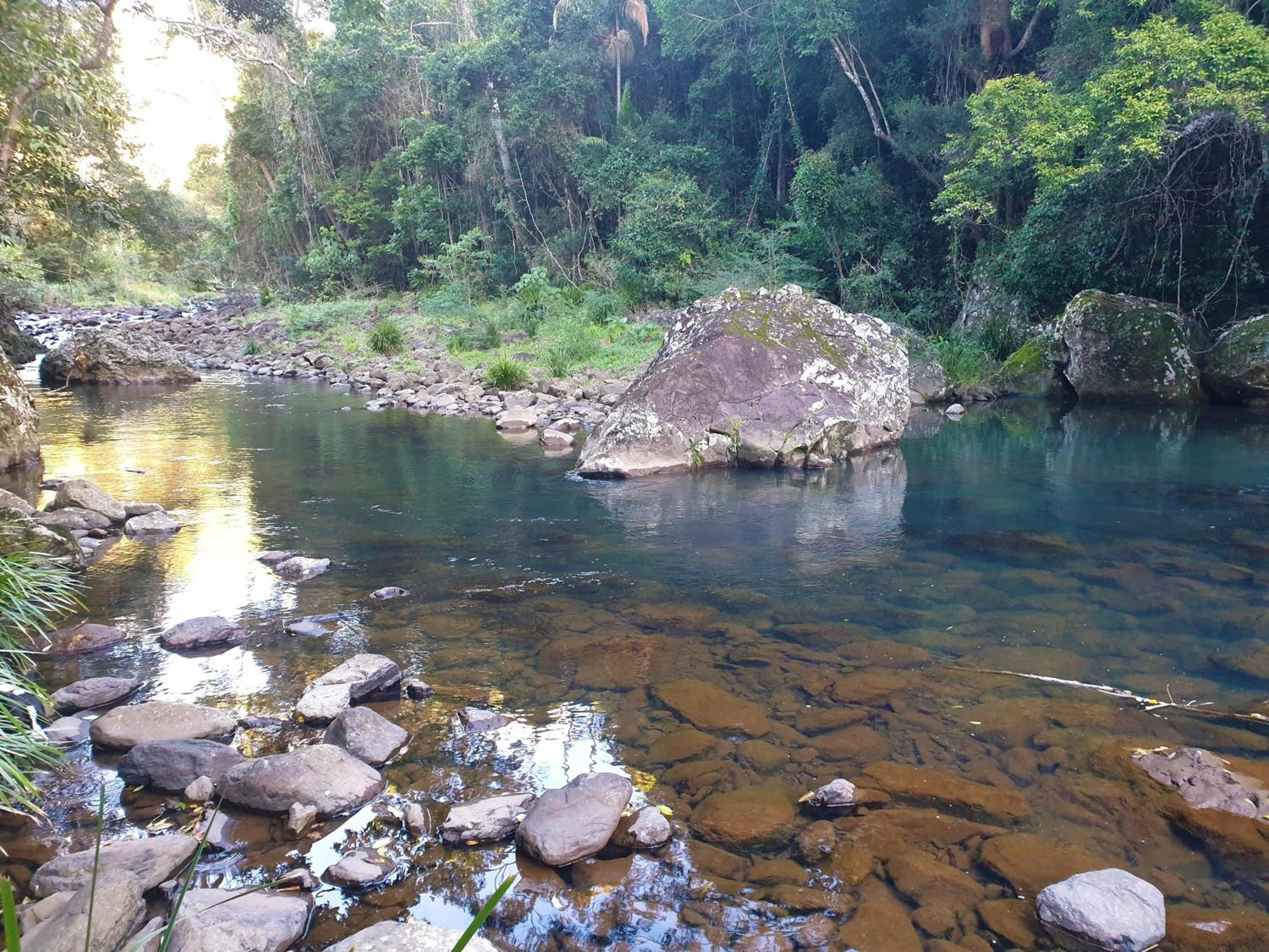 Maleny Tropical Retreat