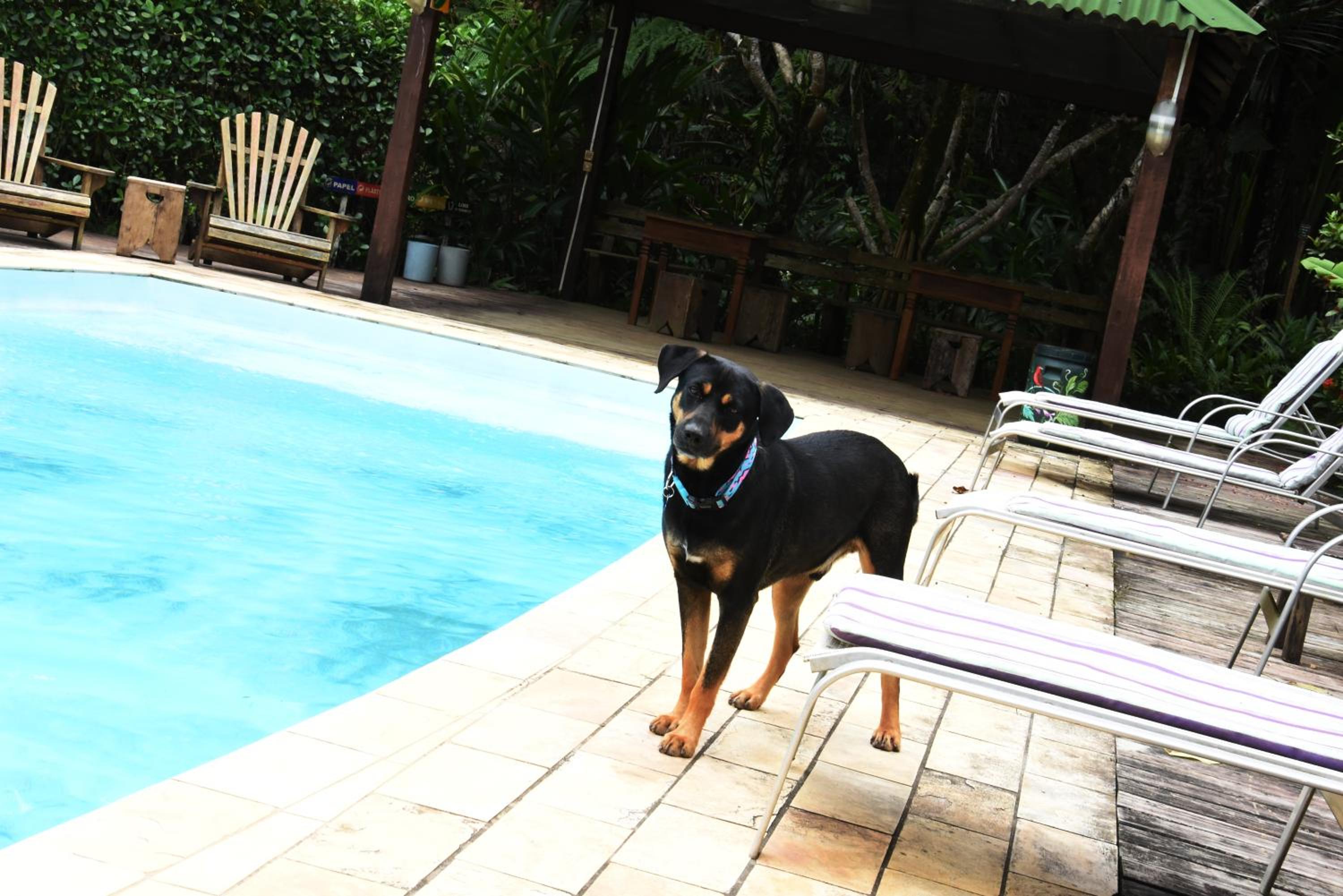 Pousada Portal do Cacau-Petfriendly