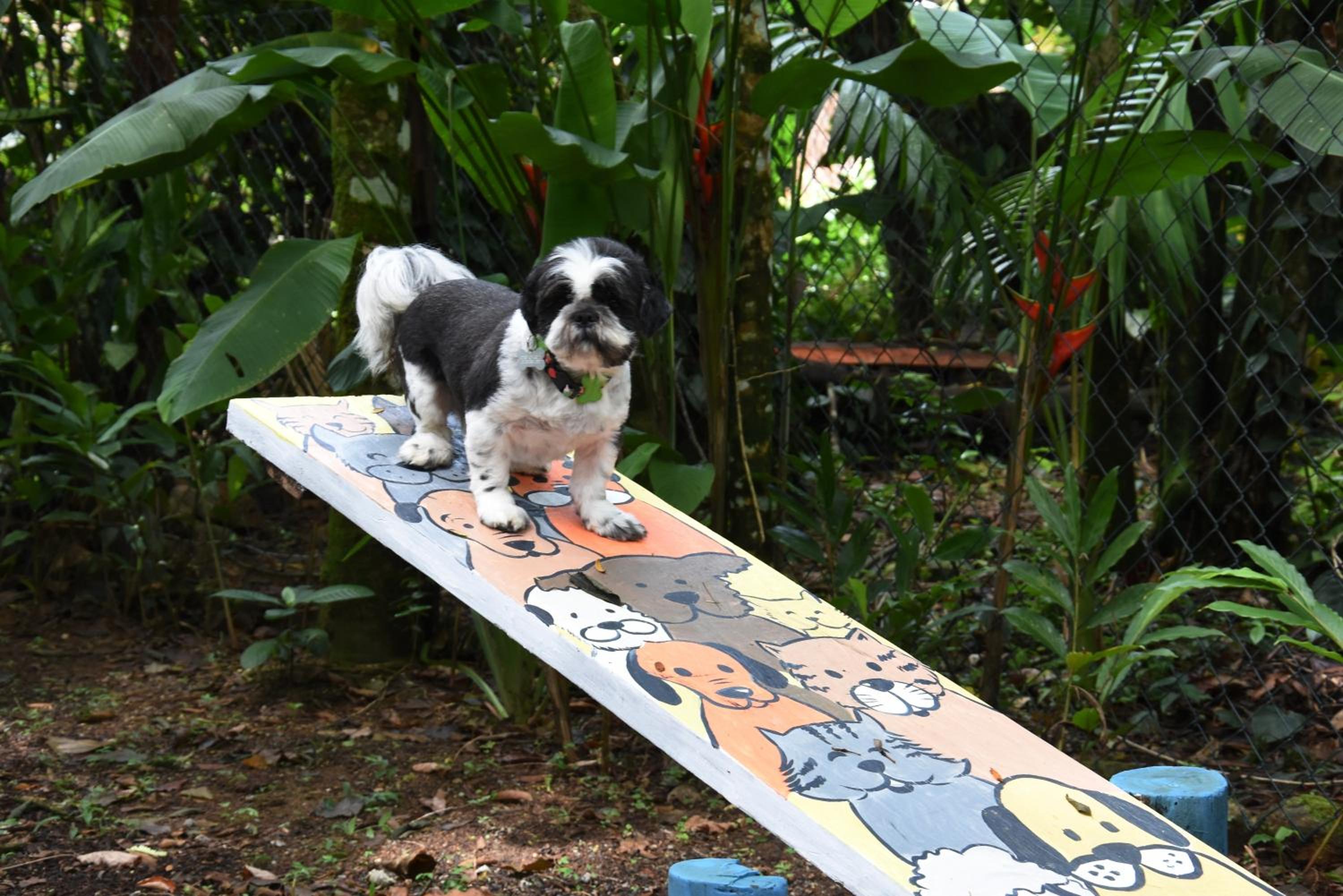 Pousada Portal do Cacau-Petfriendly