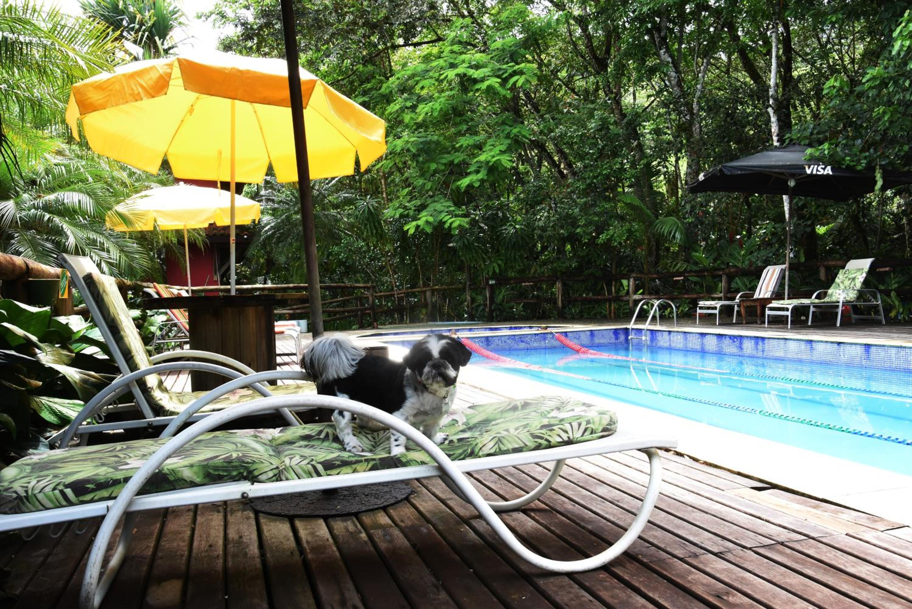 Pousada Portal do Cacau-Petfriendly