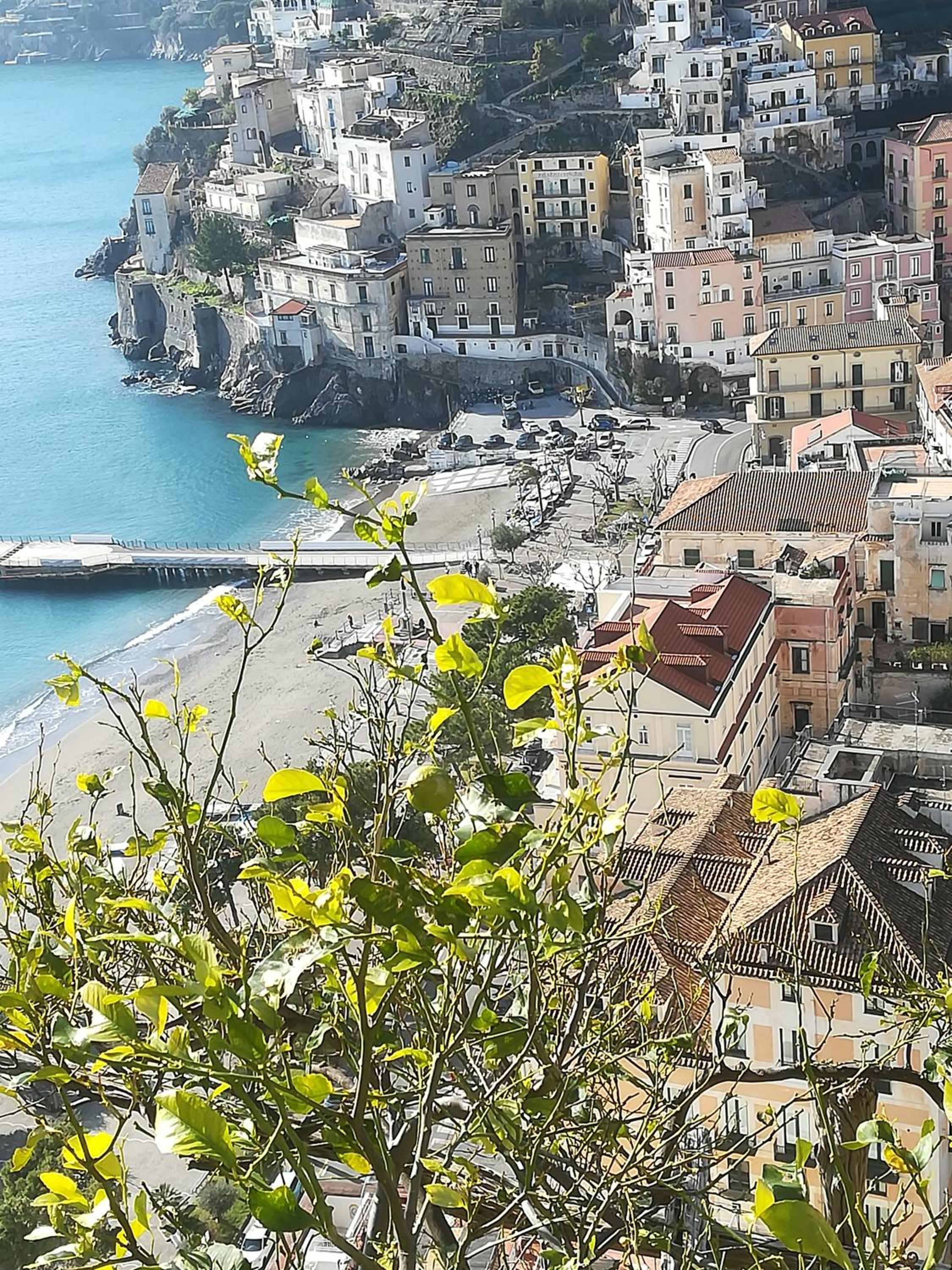 Méditerranée