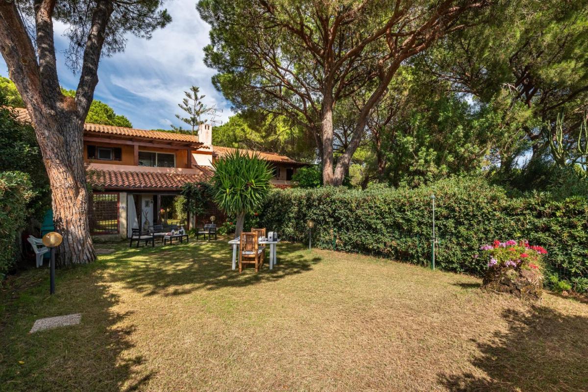 Una pineta sul mare view 3