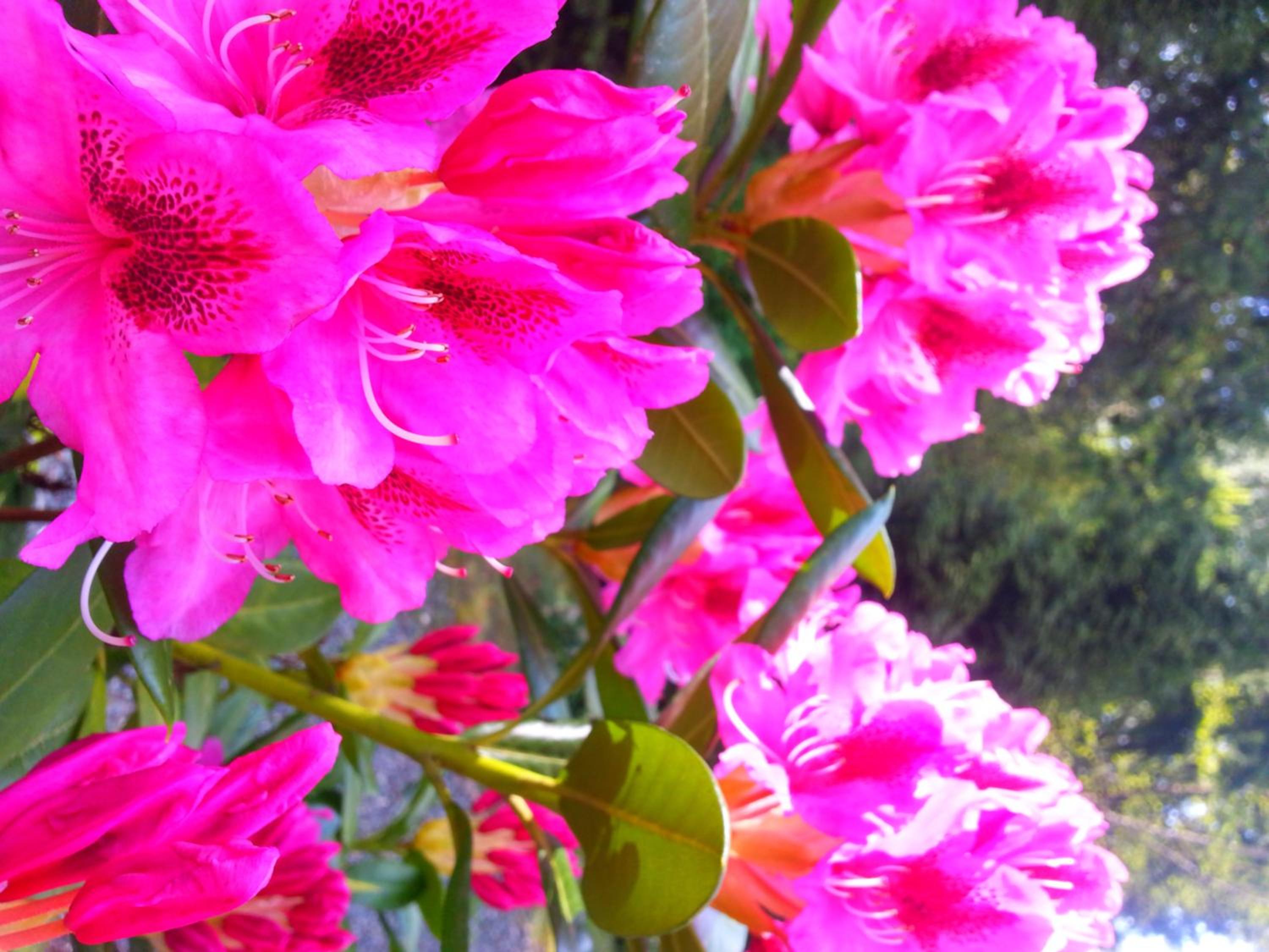 Surrey Vacations - Holiday Inn Express and Suites Surrey, an IHG Hotel - Property Image 3