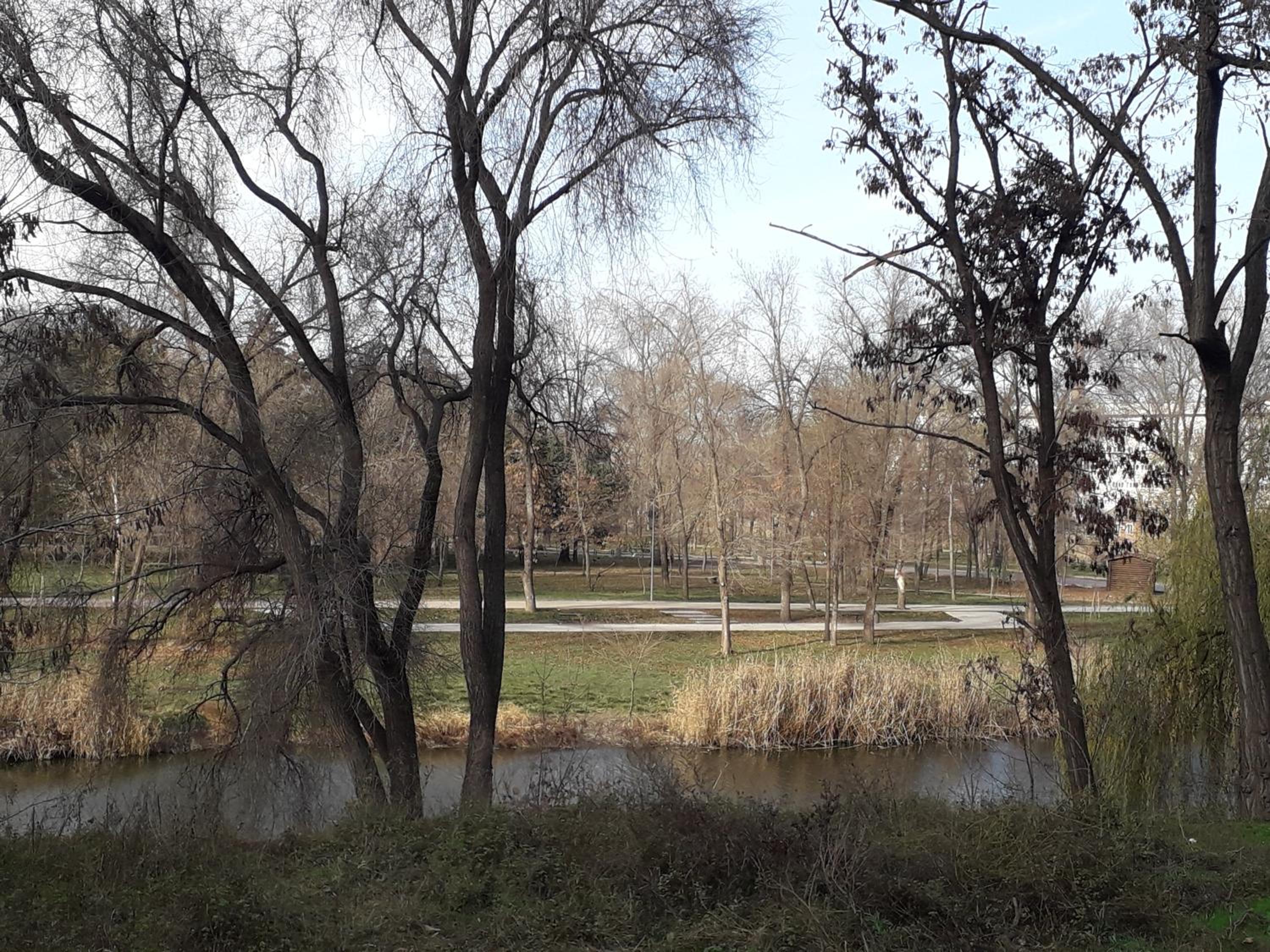 Photo 24