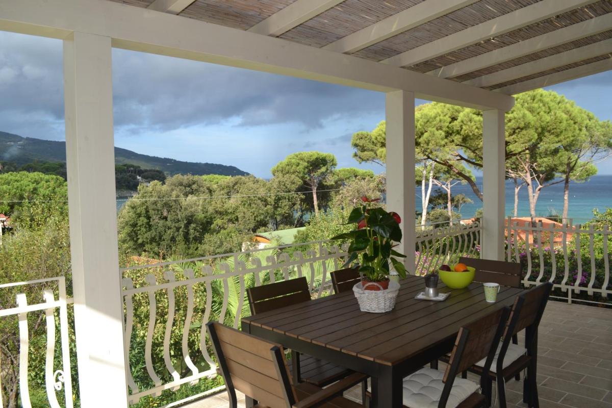 Onda view 2