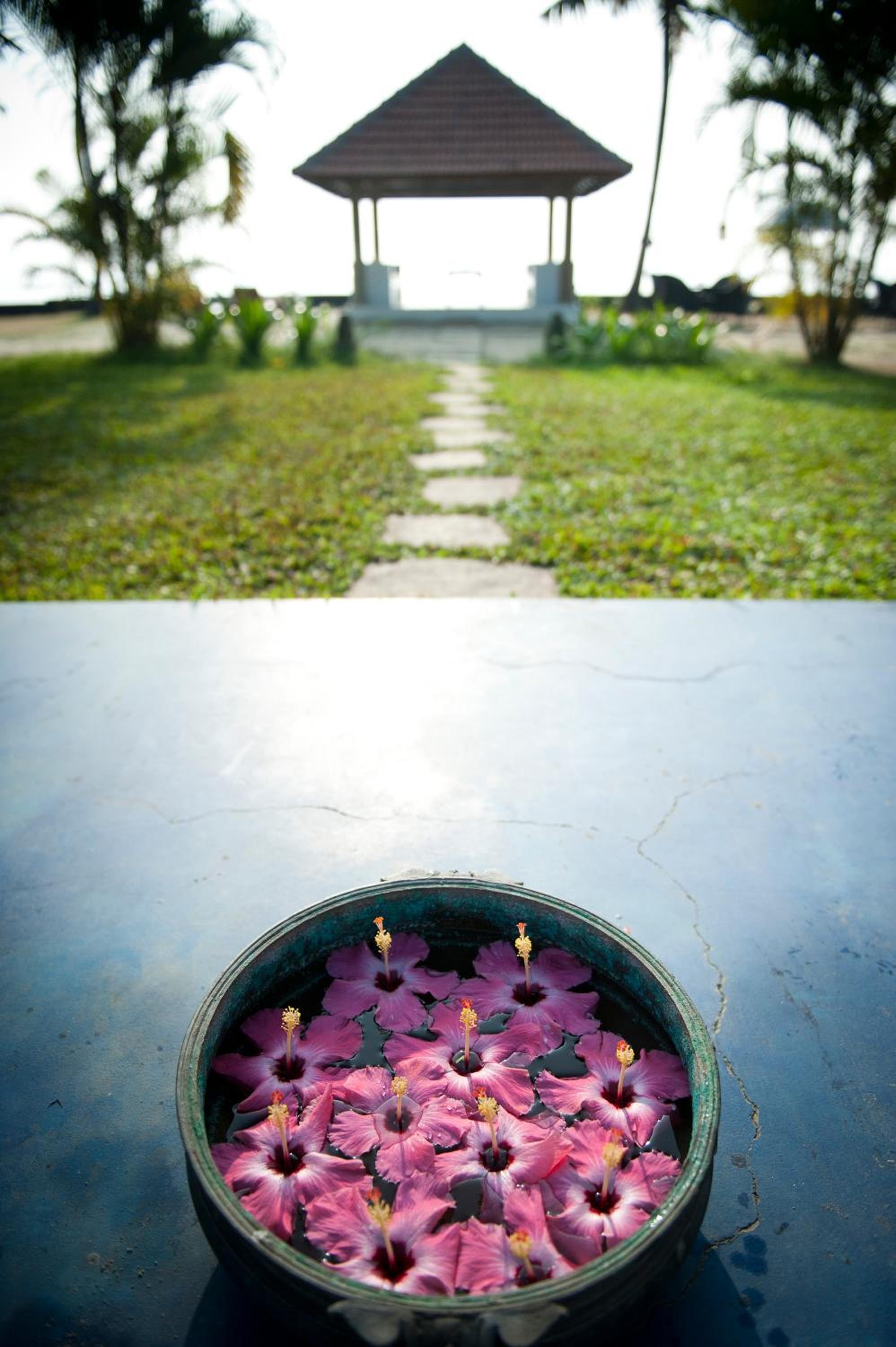 Purity at Lake Vembanad