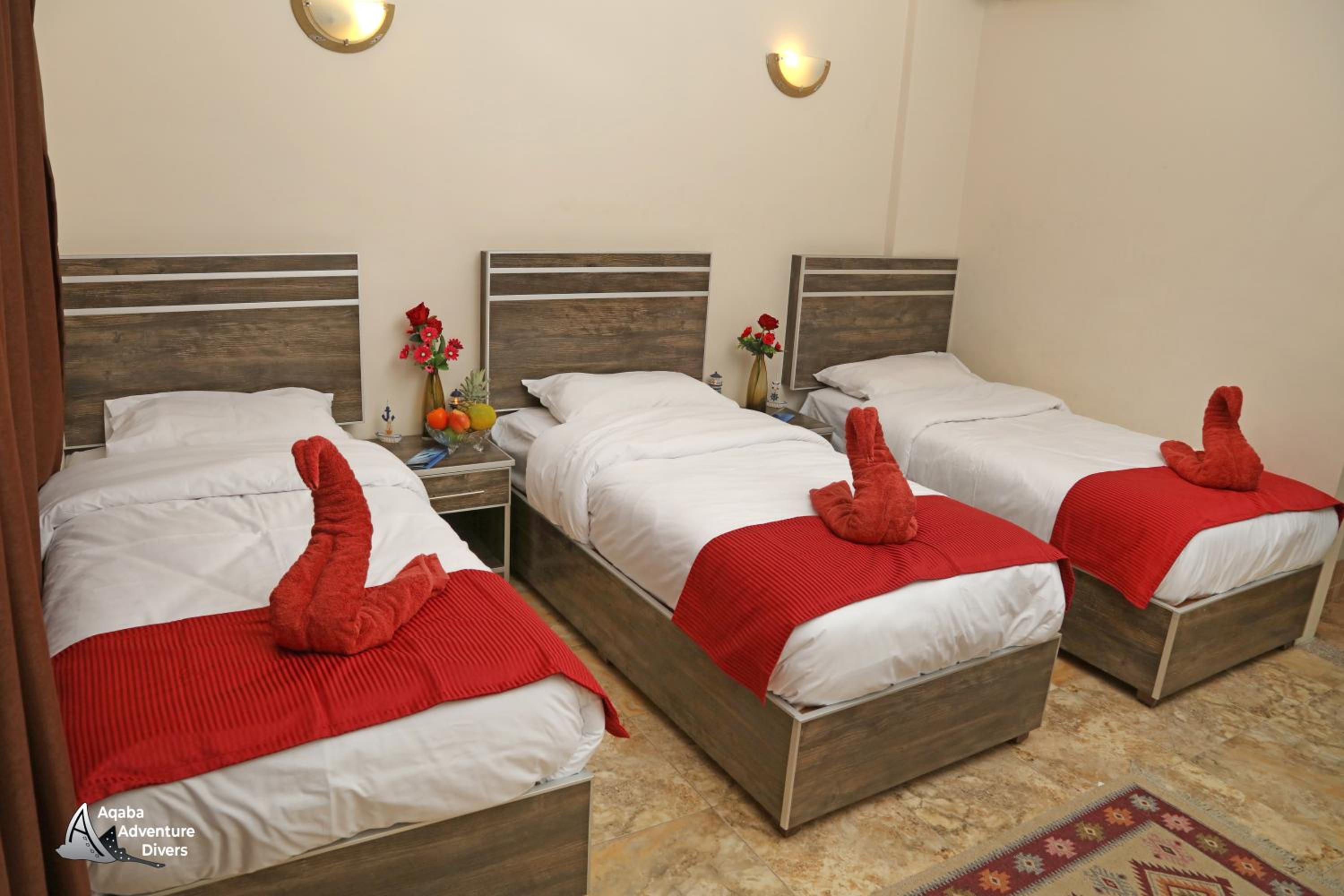 Aqaba Vacations - Aqaba Adventure Divers Resort Dive Center - Property Image 56