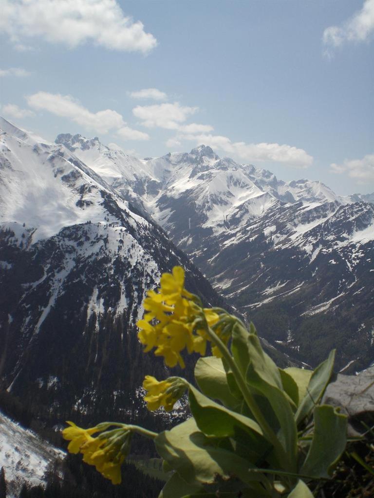 Photo 16