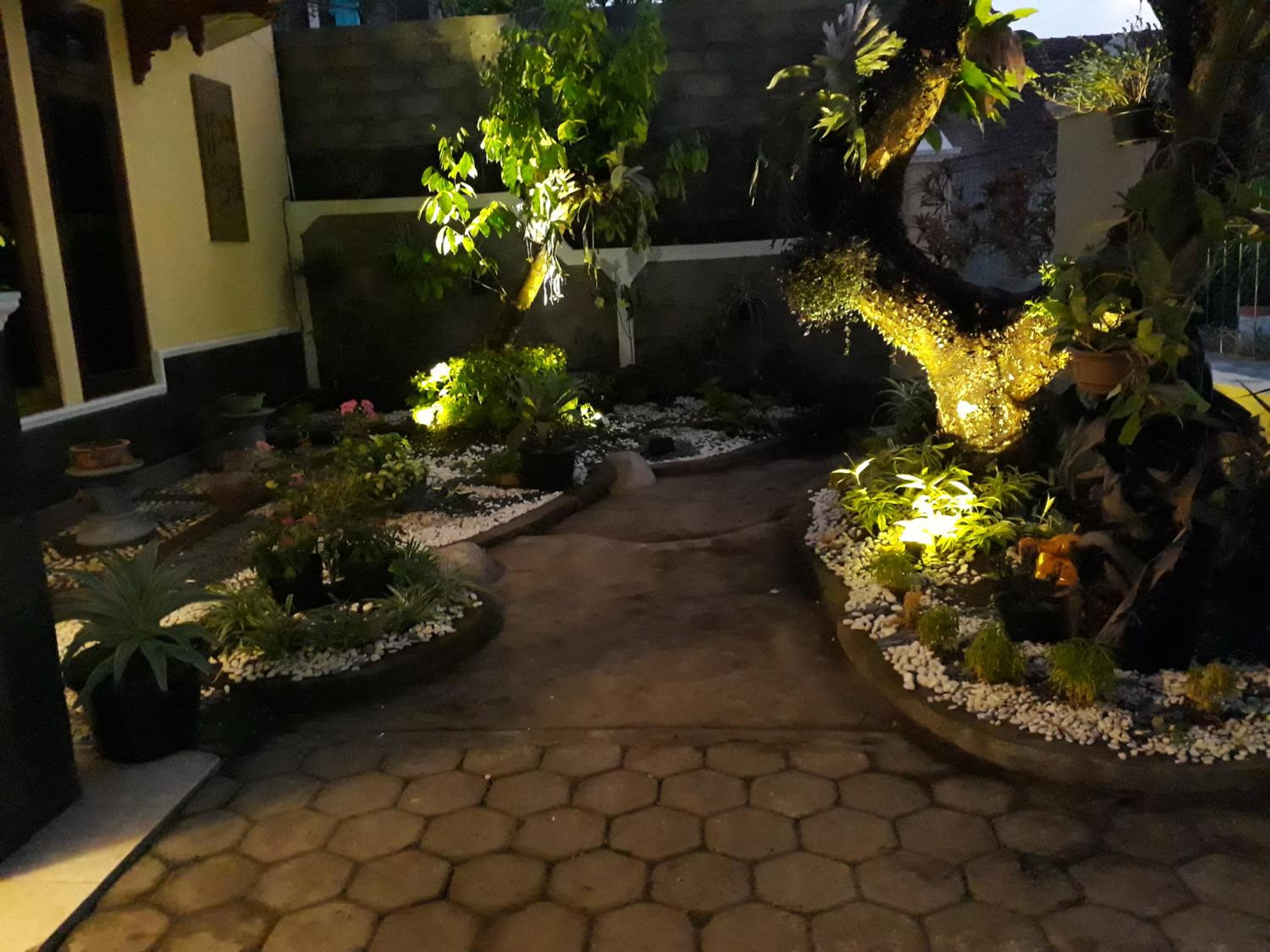 Photo 7