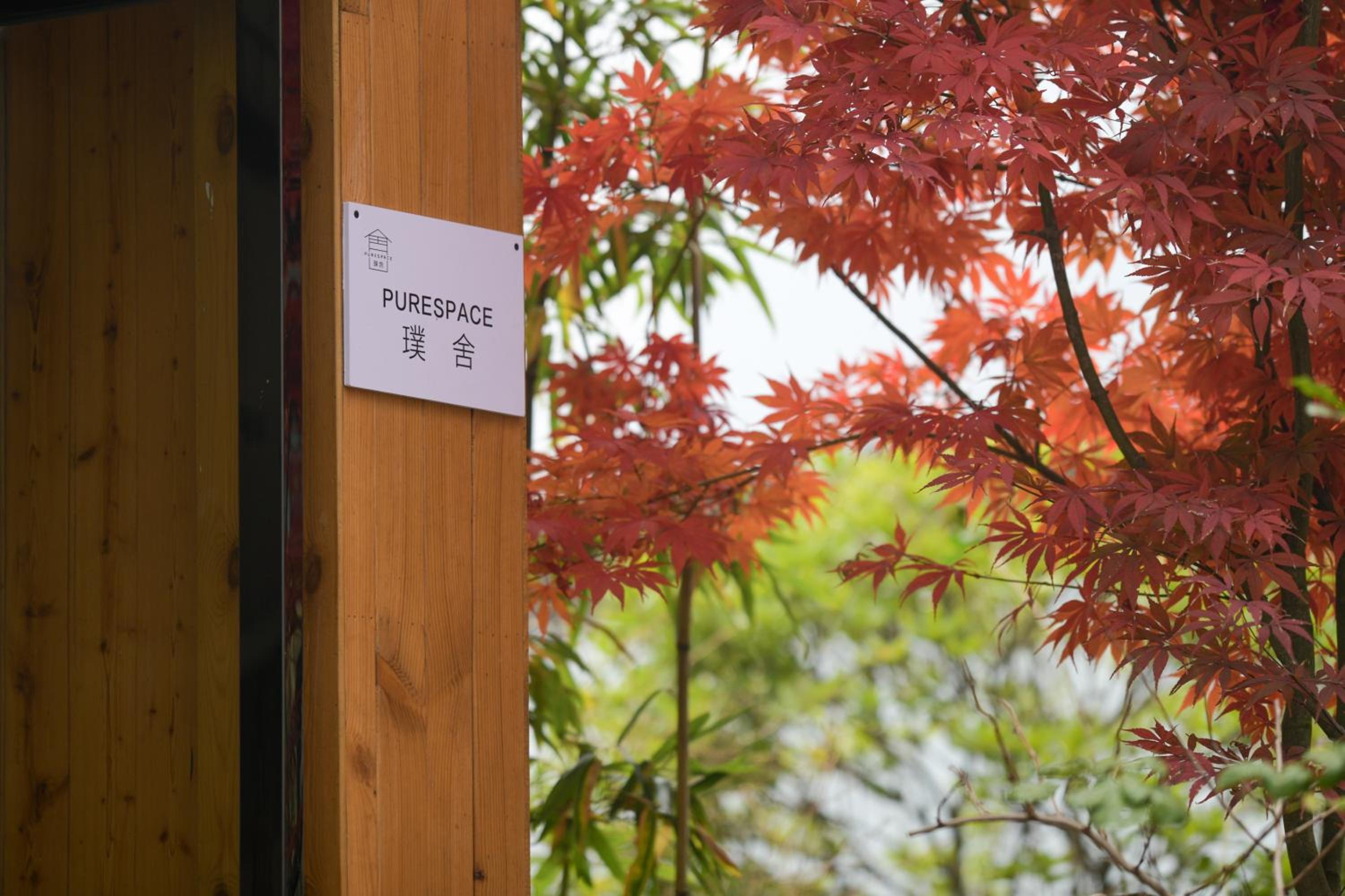 Zhangjiajie national park Purespace --2nights 1free pick-up&book tickets&5min to park