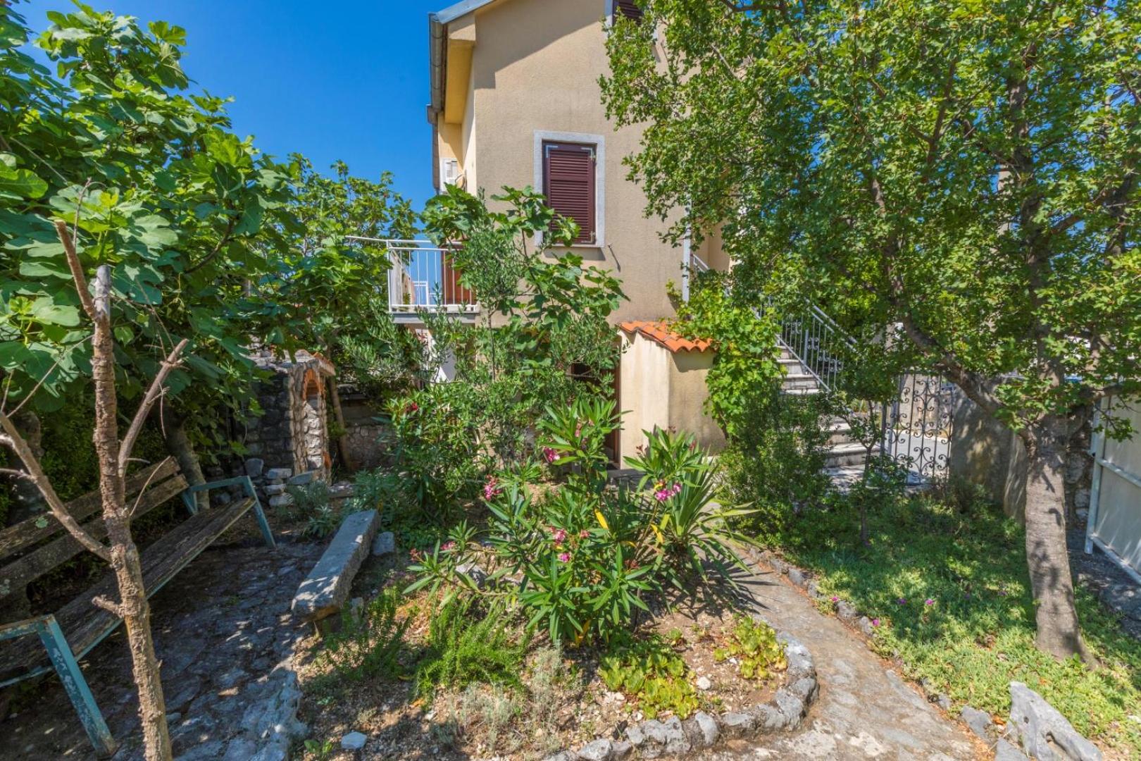 KRALJ view 3