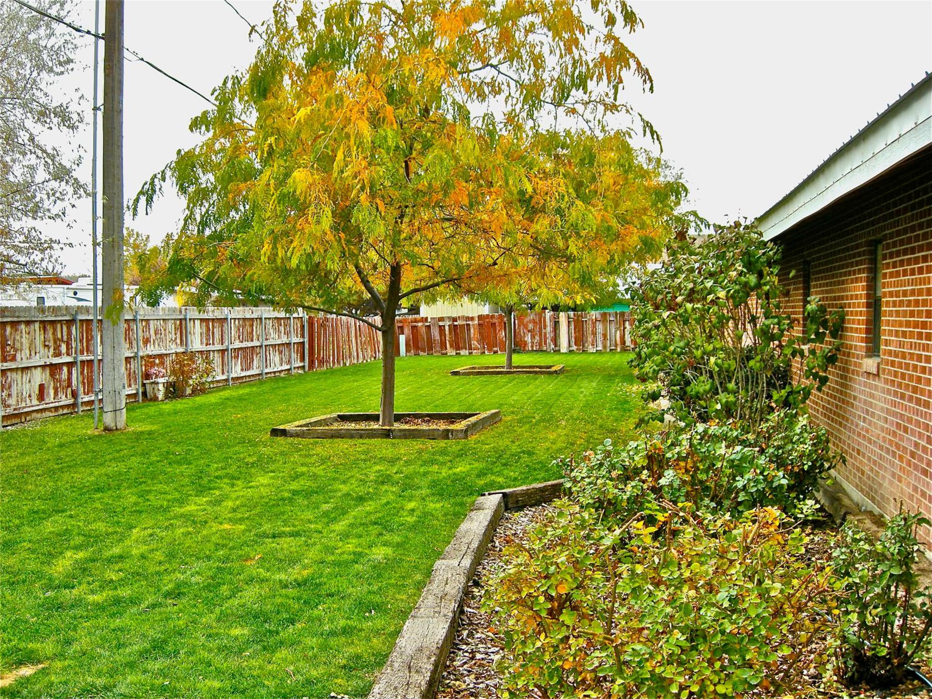 Photo 49