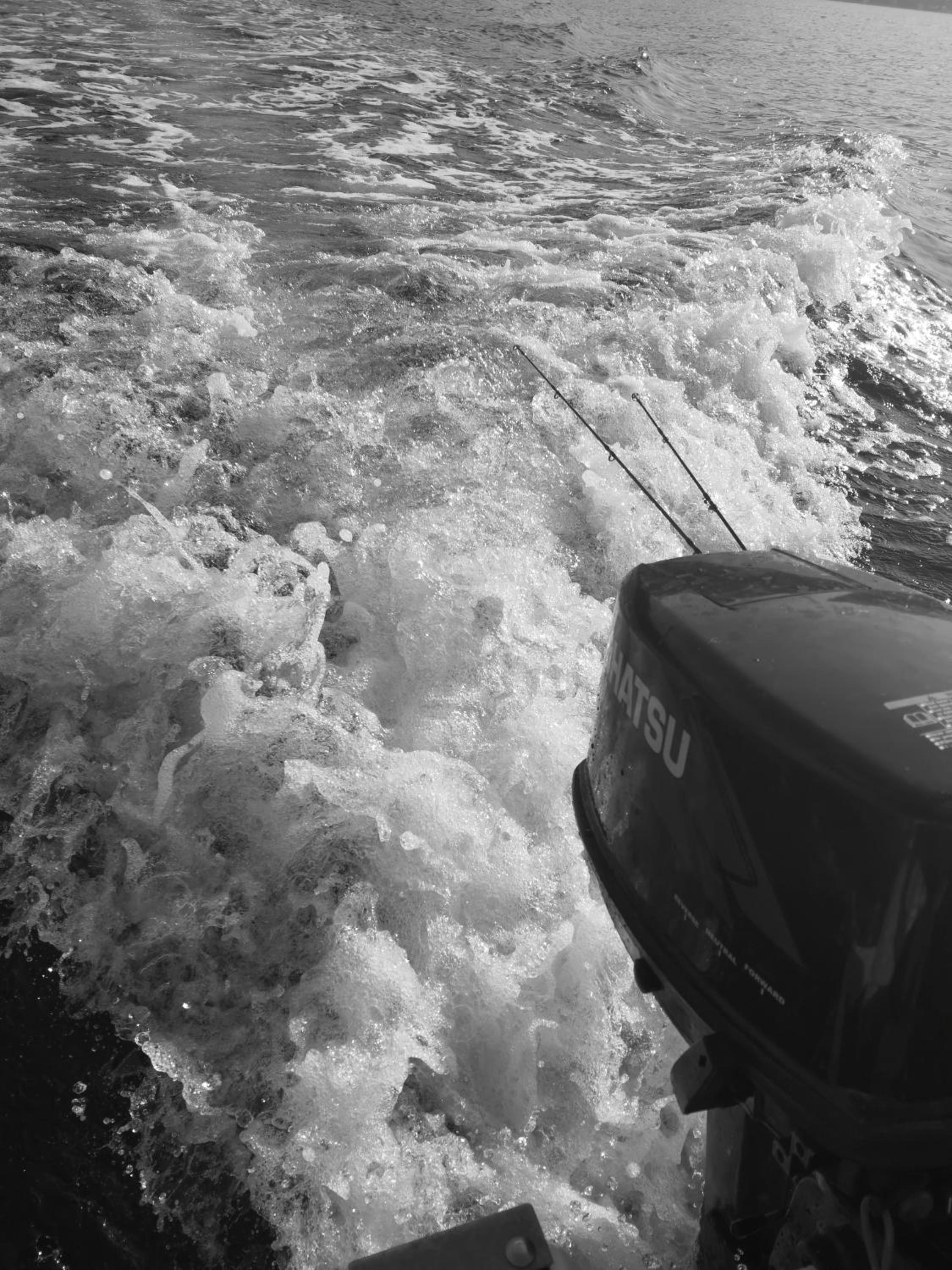 Photo 44