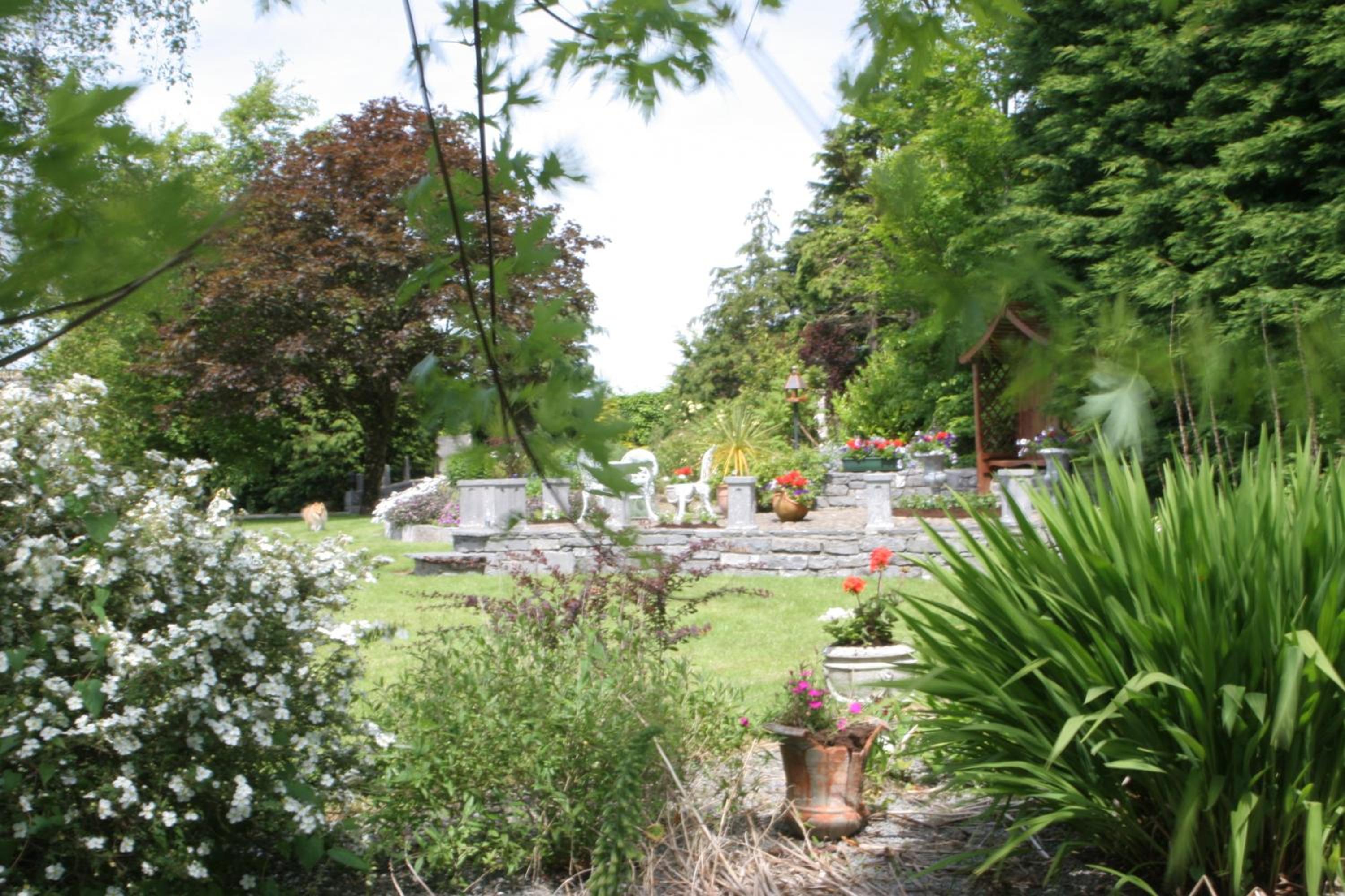 Photo 29