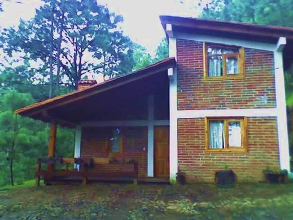 Photo 20