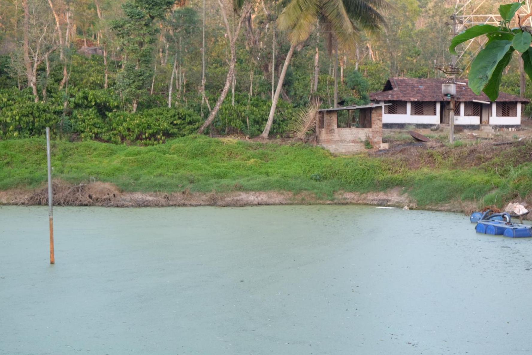 Tarana Homestay