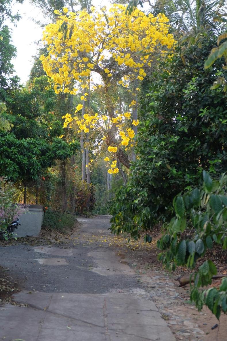 Tarana Homestay
