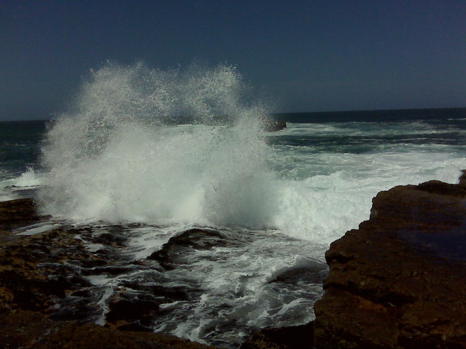 Photo 47