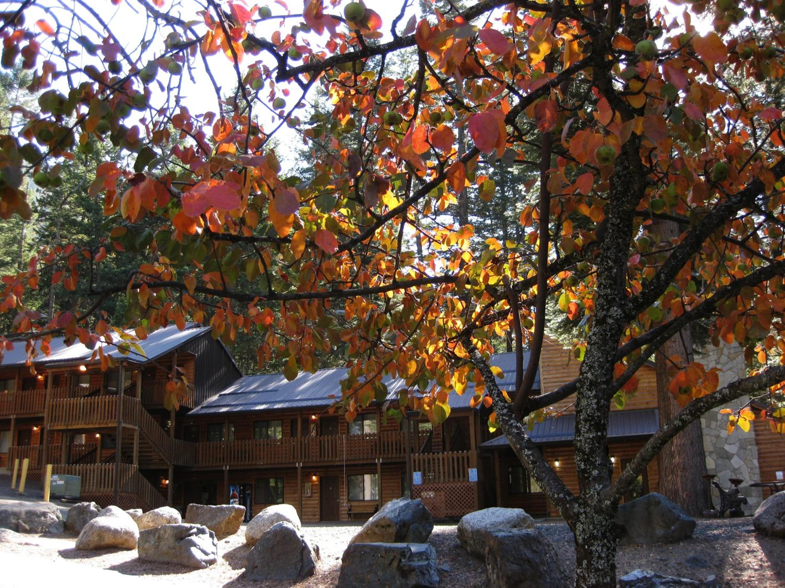 Eagle Cap Chalets