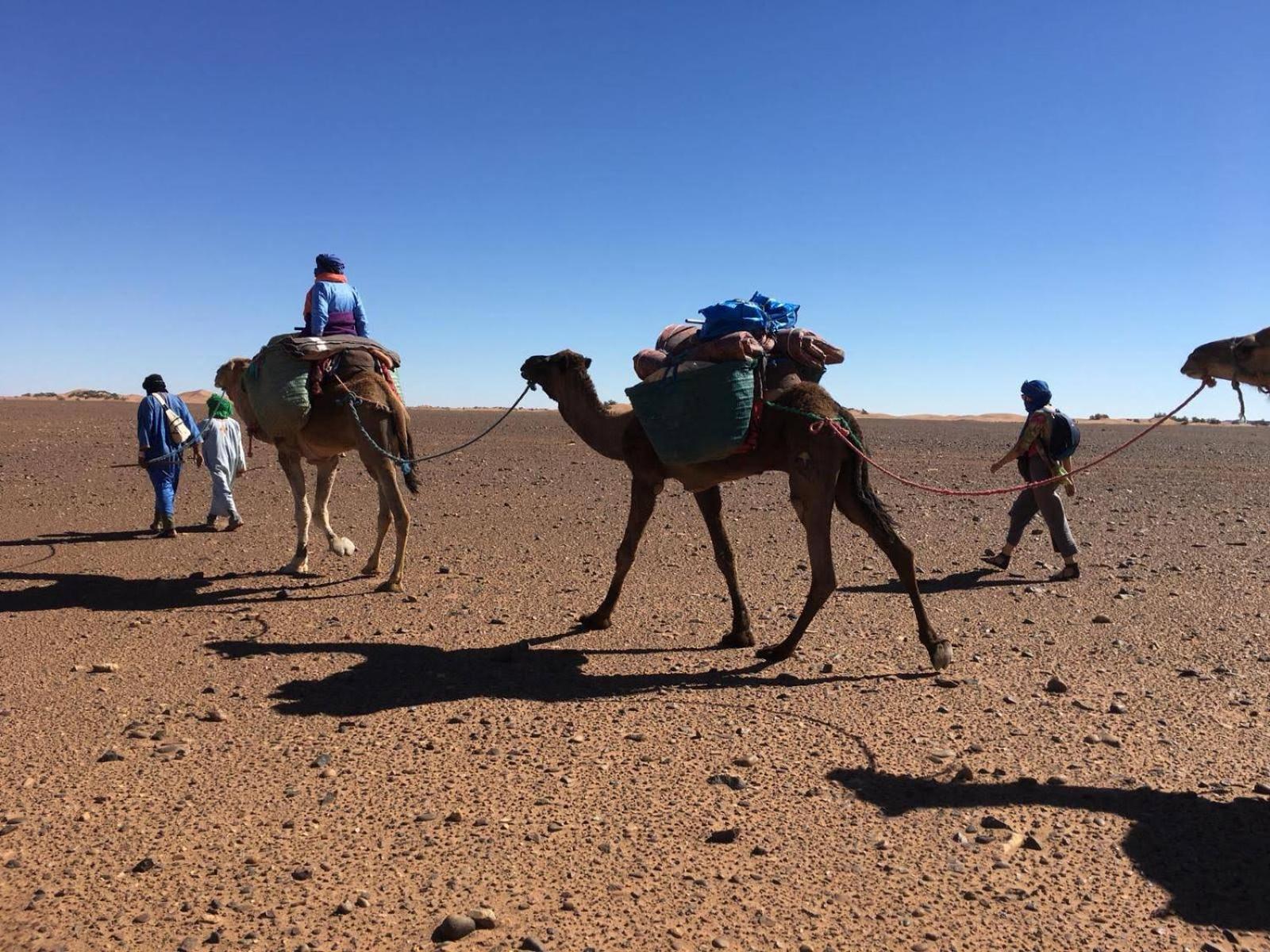 Kasbah Les Alizes Du Desert