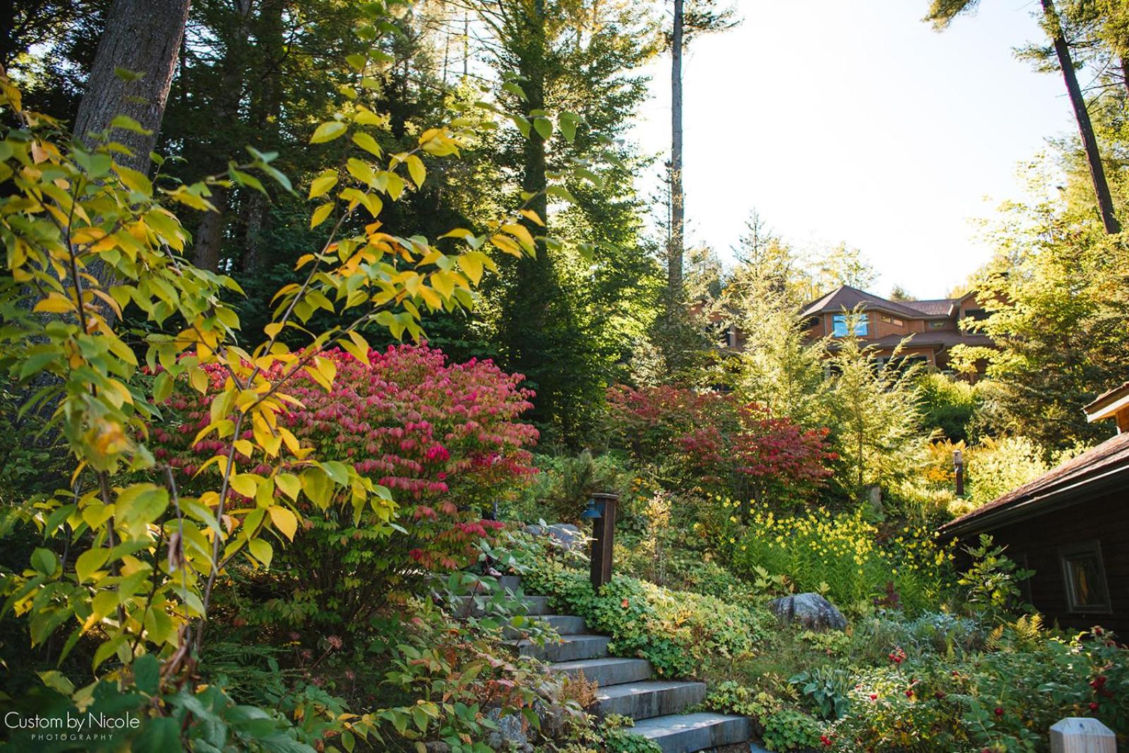 The Fern Lodge view 5