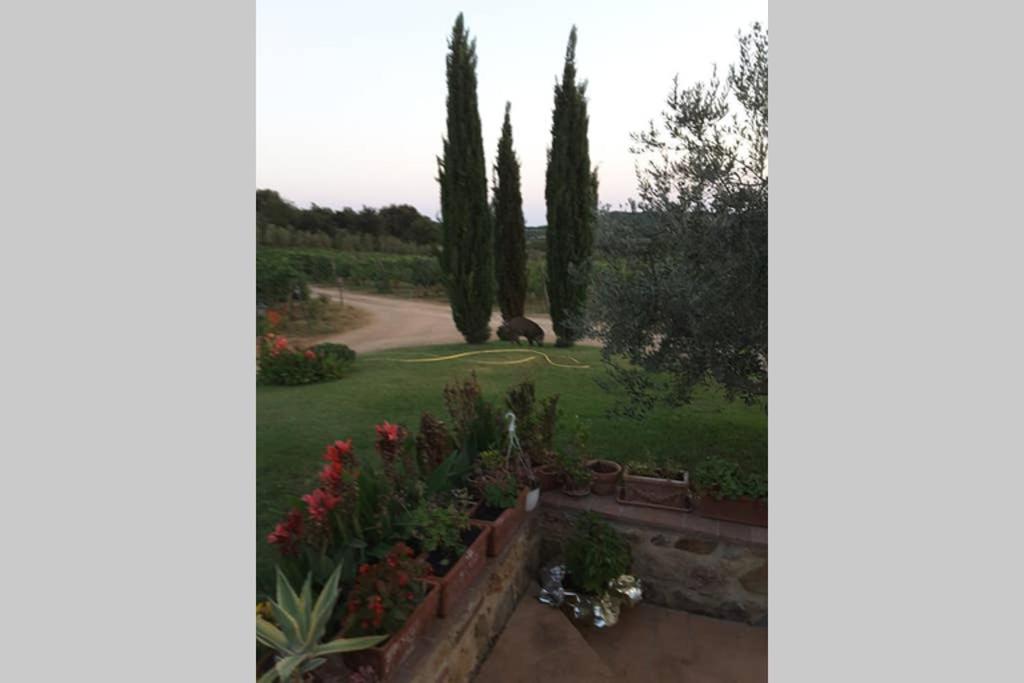 Photo 28