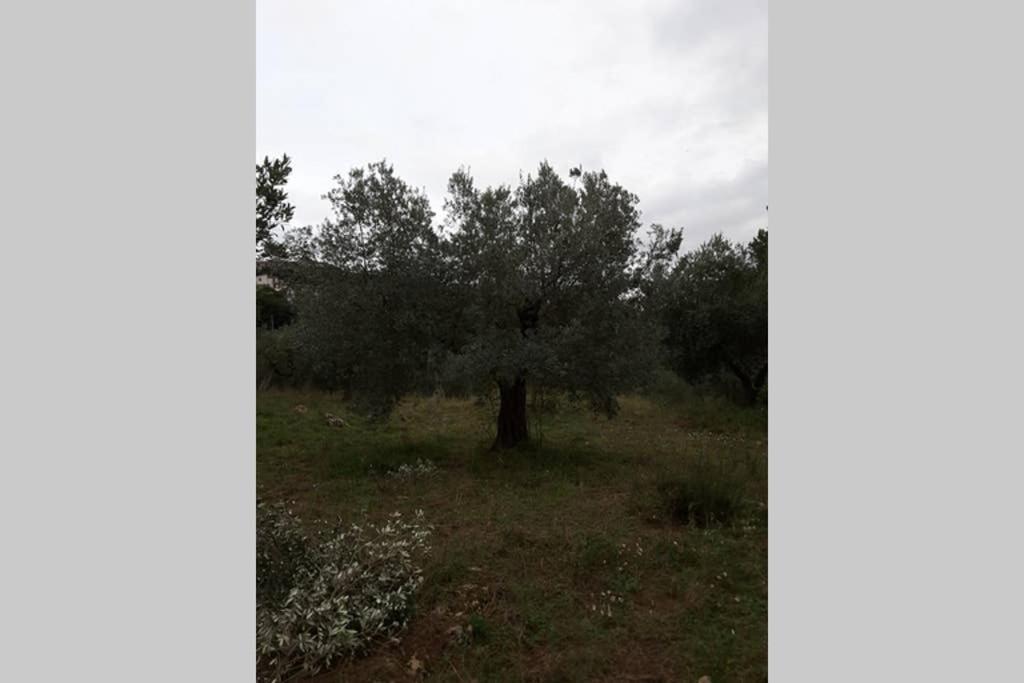 Photo 30