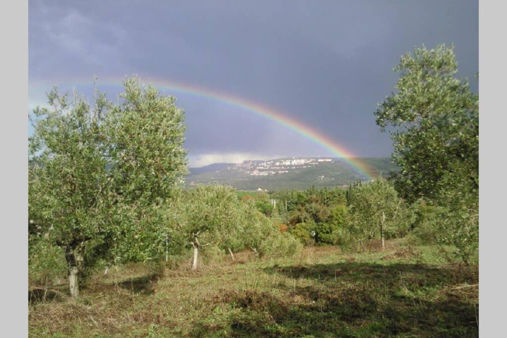 Photo 46