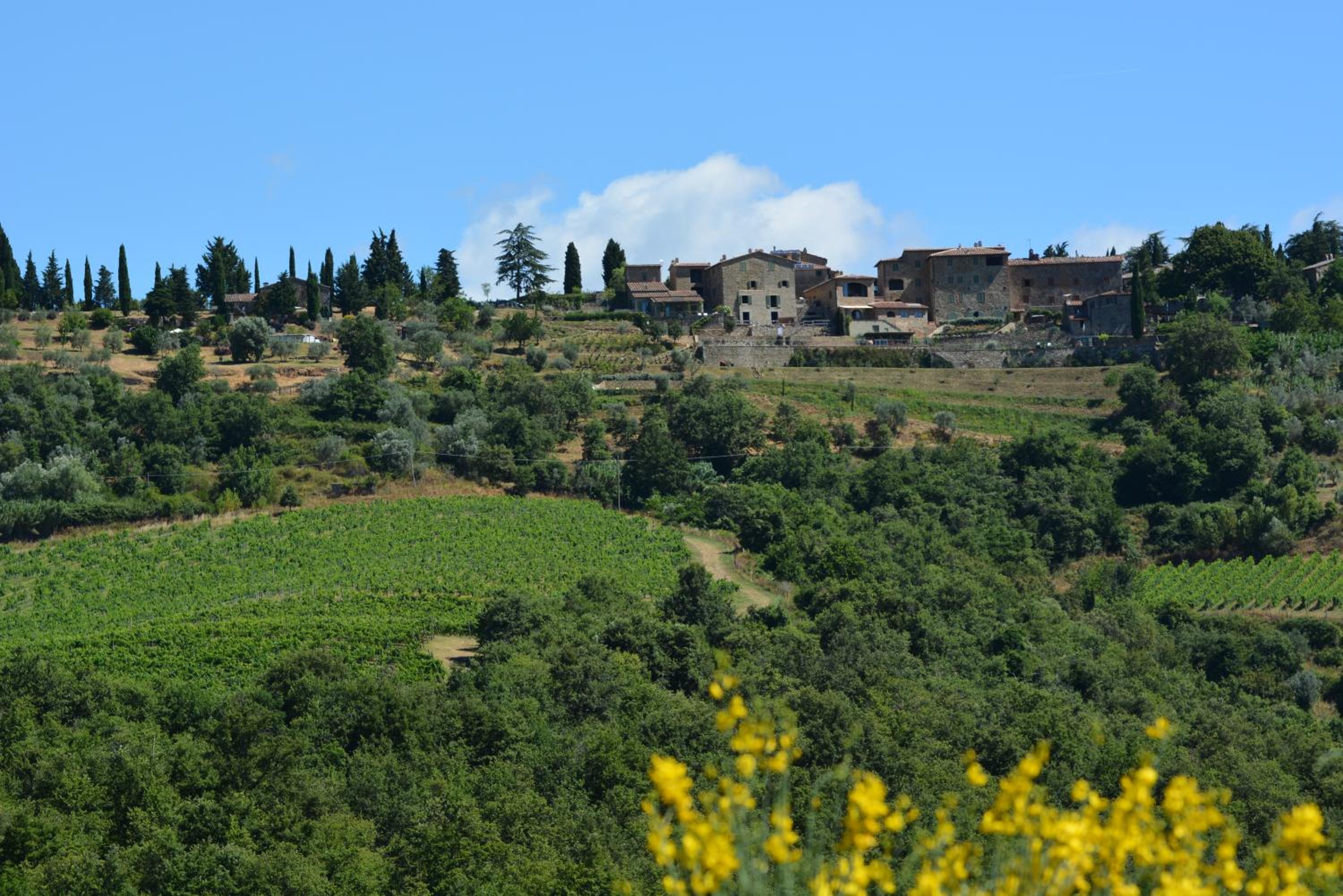 La Loggia di Rosennano view 5