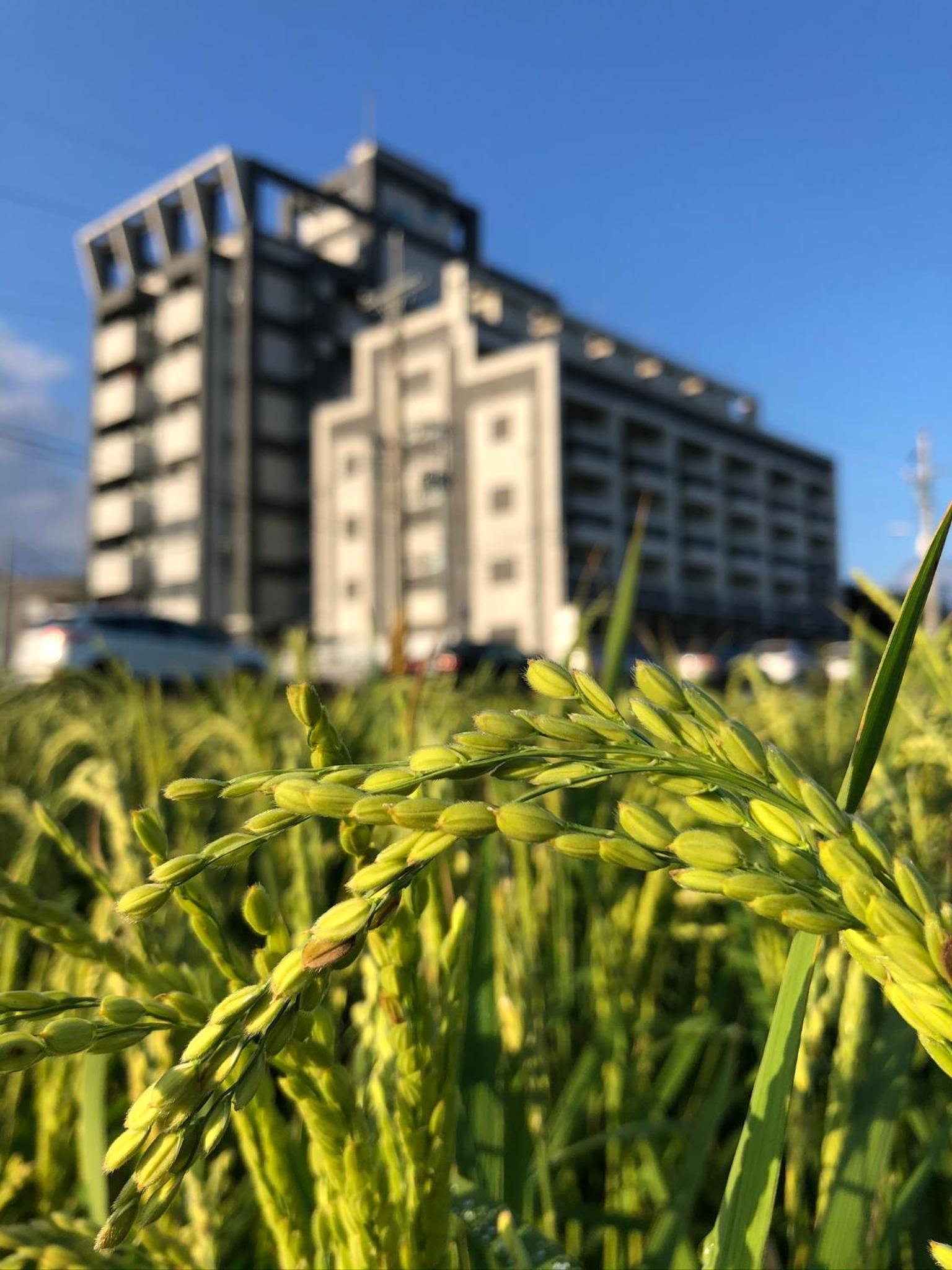 遊山水民宿一二館來電可享優惠方案