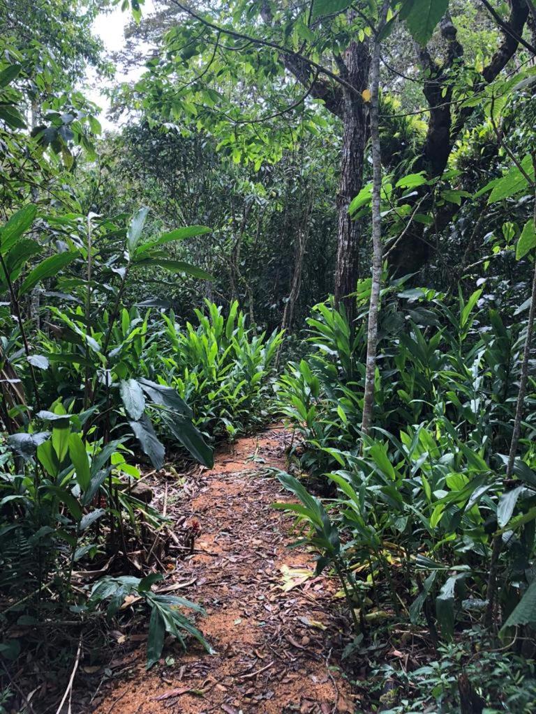 Altares de Oxapampa