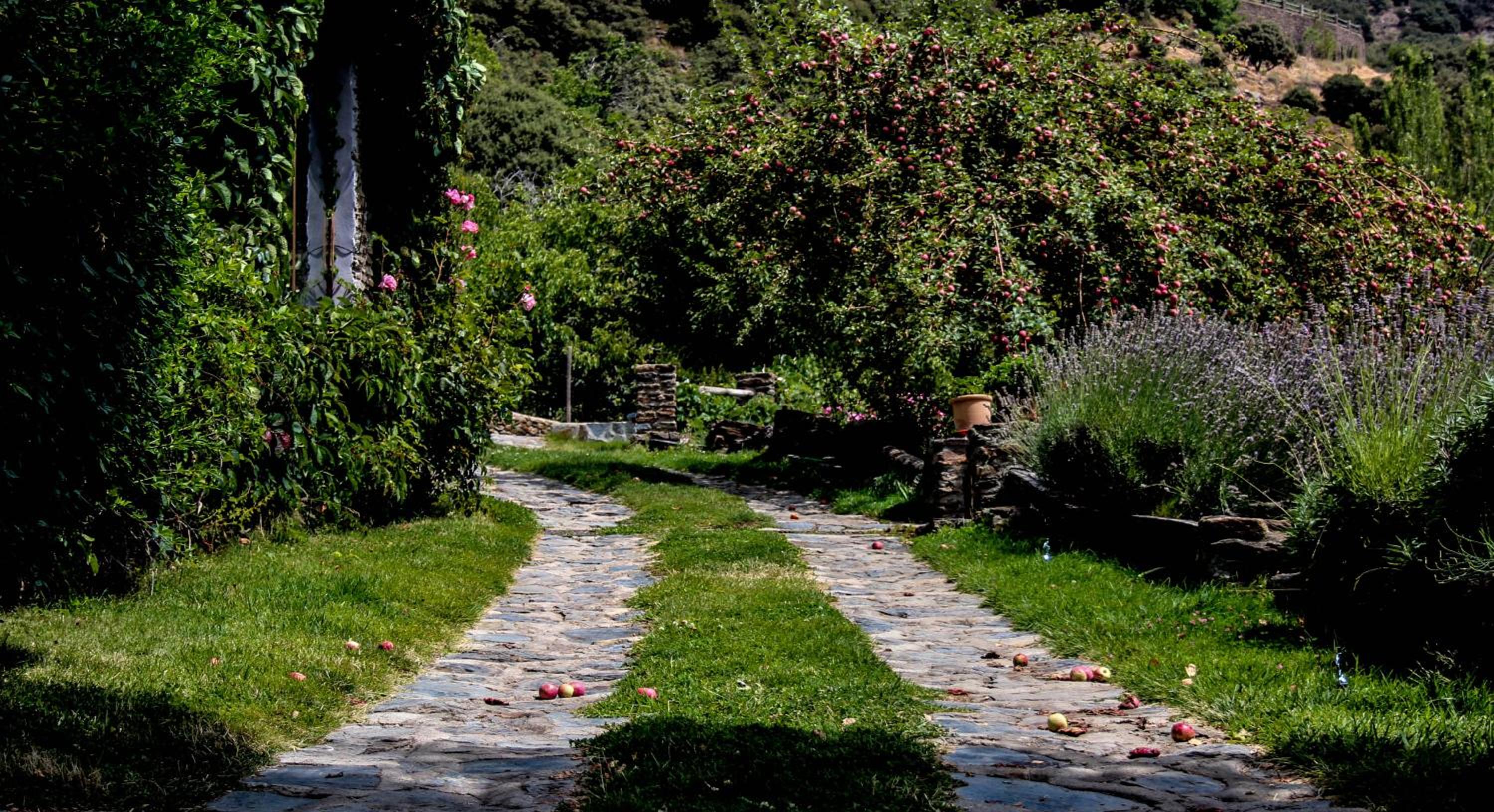 Casa Rural Catifalarga Alpujarra