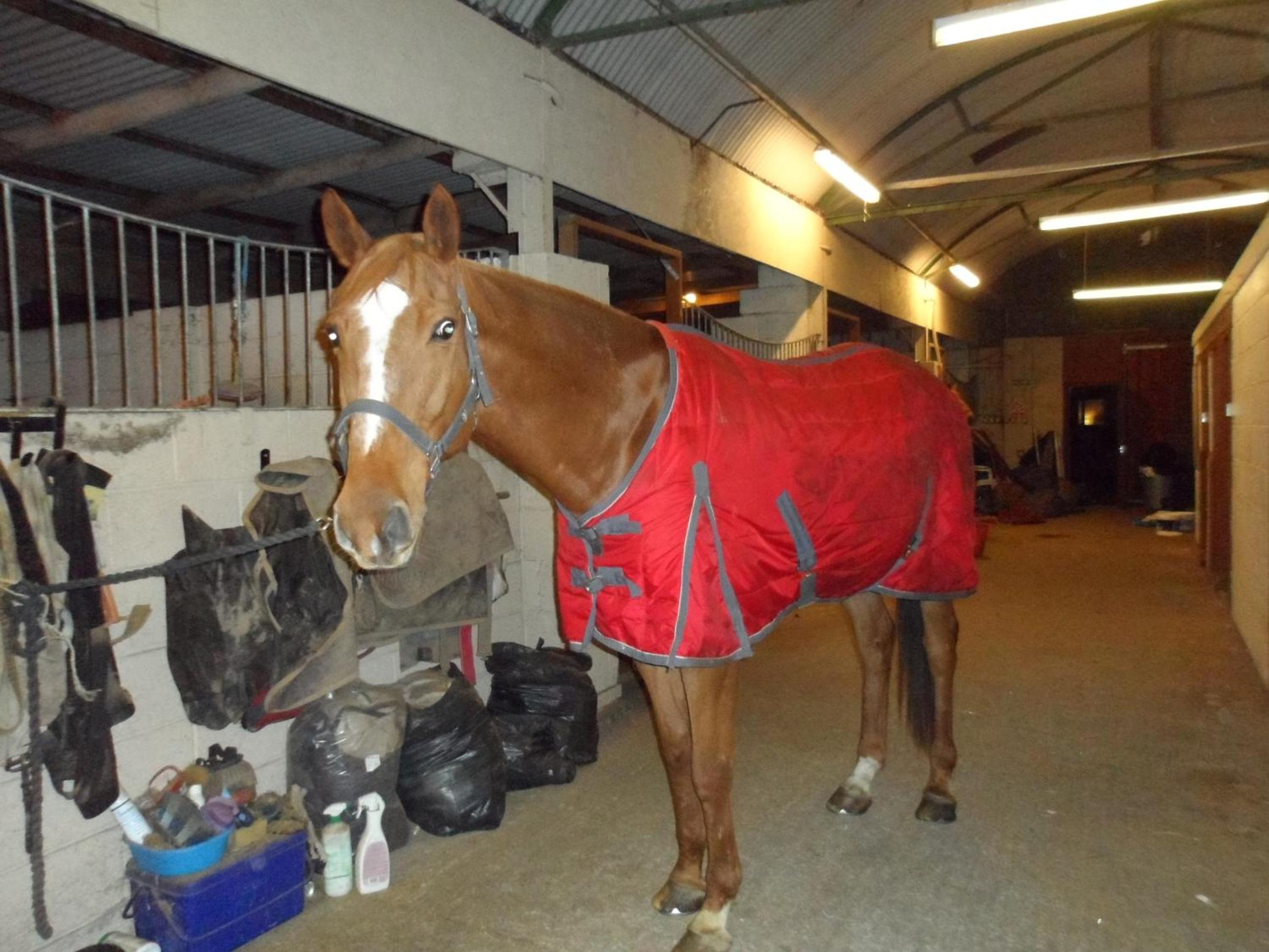 The Stables - Deer Park Farm