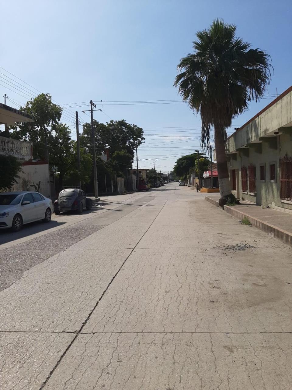 Photo 19
