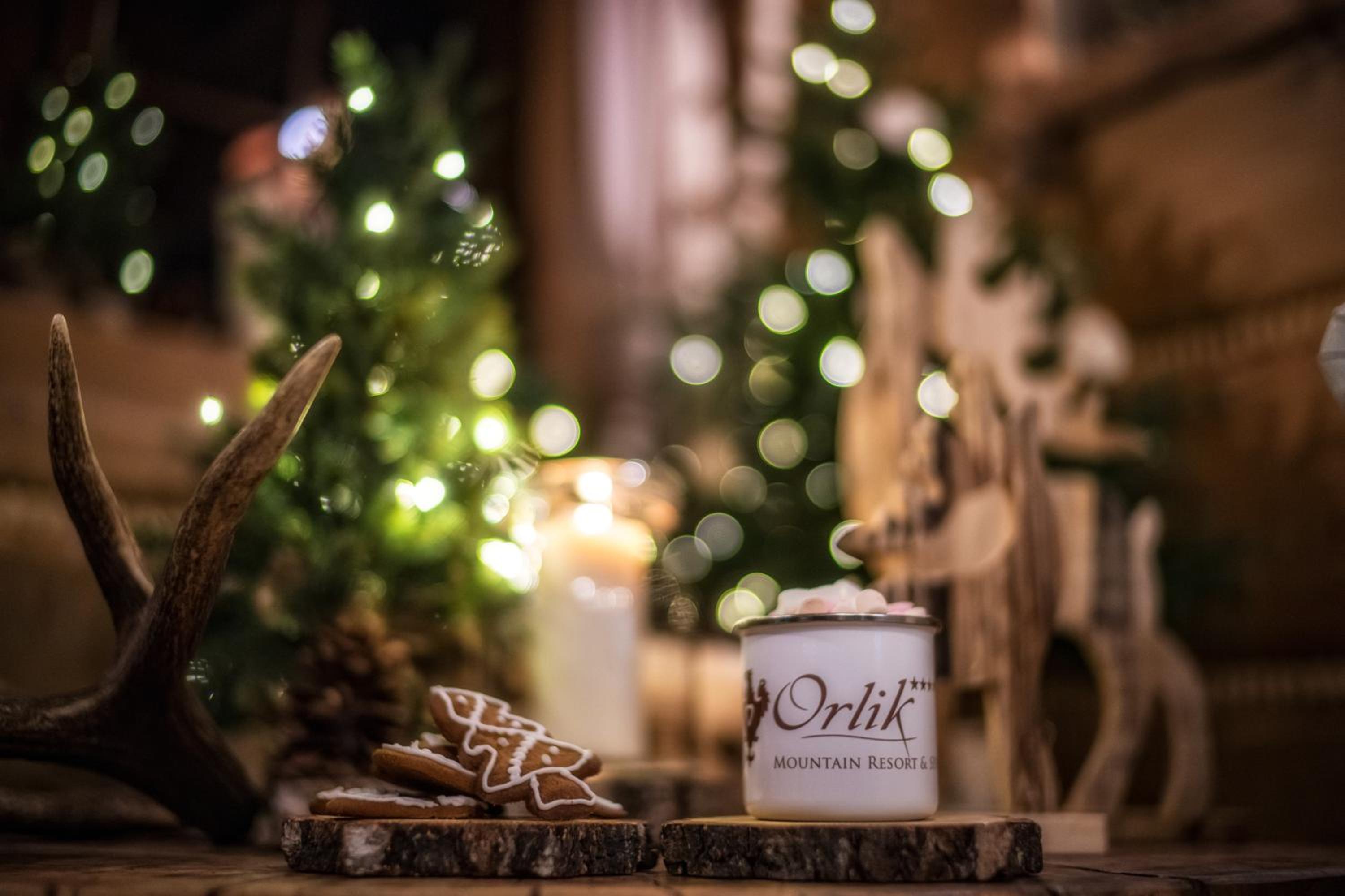Pensjonat Orlik Mountain Resort&SPA