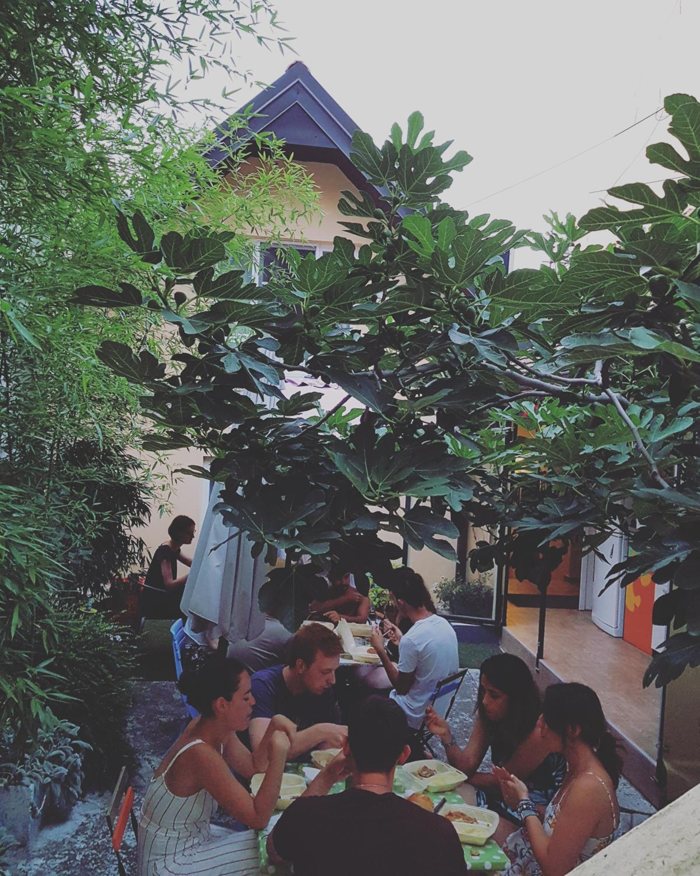 Varad INN