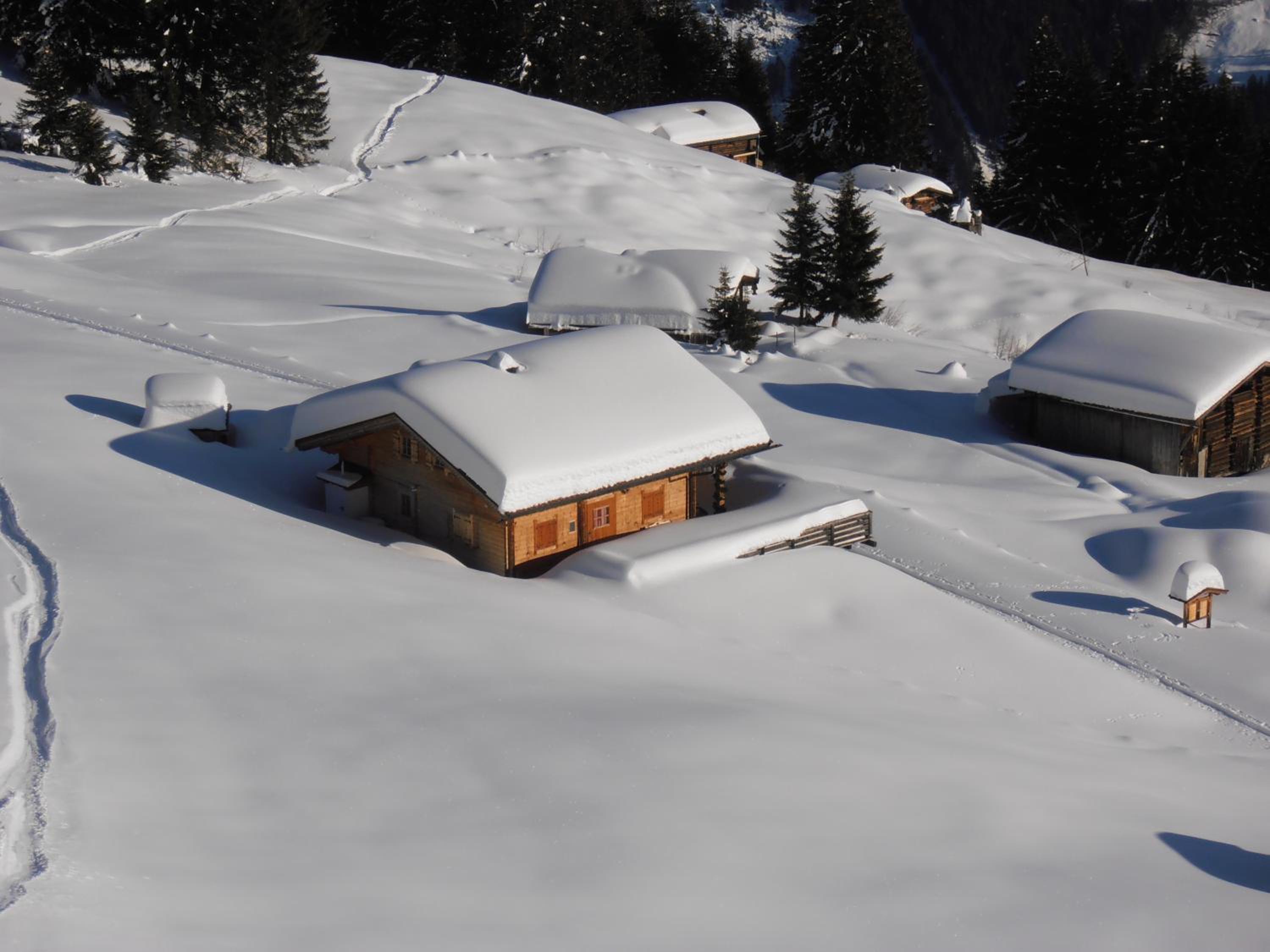 Breierhof