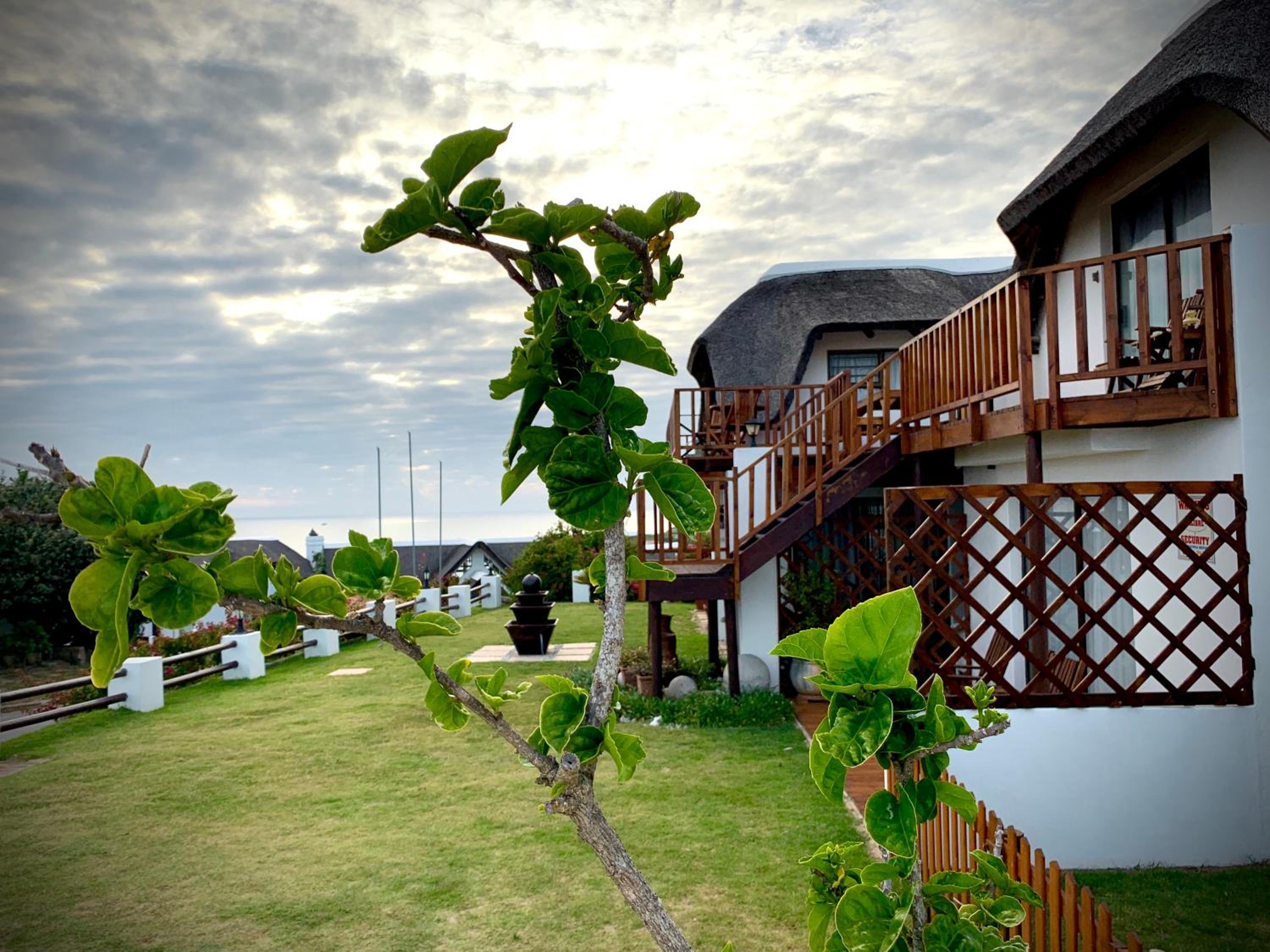 Cycads on Sea Guest House view 3
