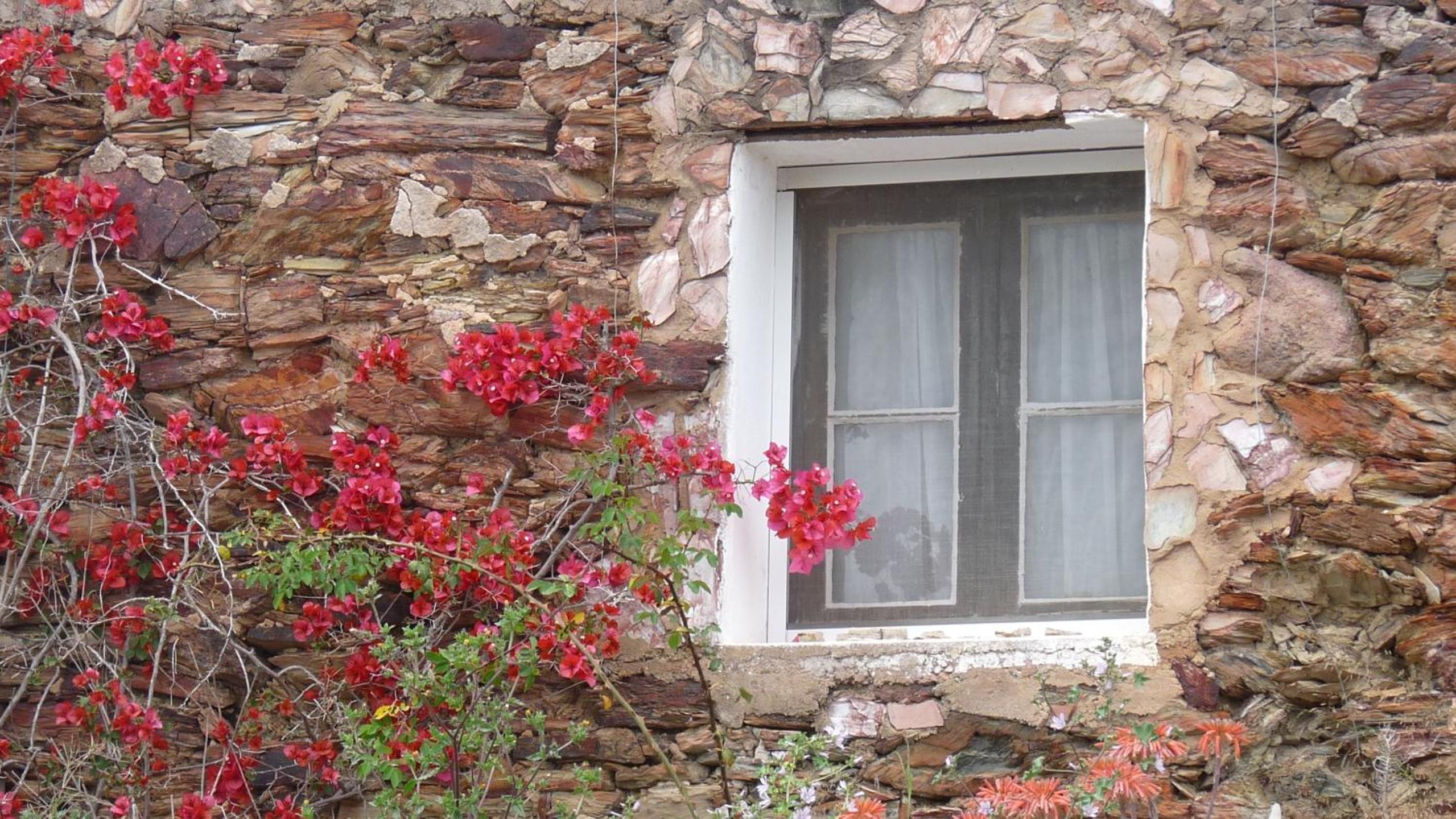 Born To Stay In Milfontes
